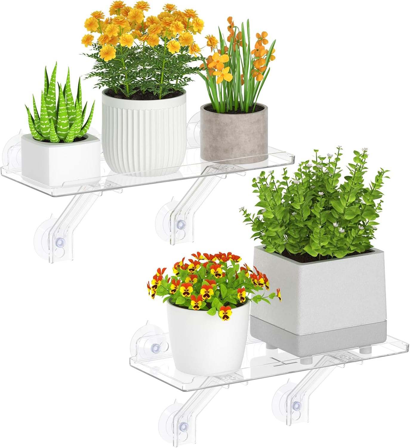 Detalle de Lifewit 25075 plantenplanken voor vensterbank, set van 2 met zuignappen