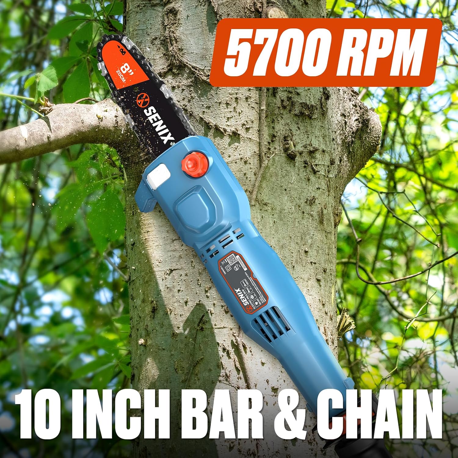 Detalle 1 de SENIX Corded Pole Saw, 8-Inch Bar