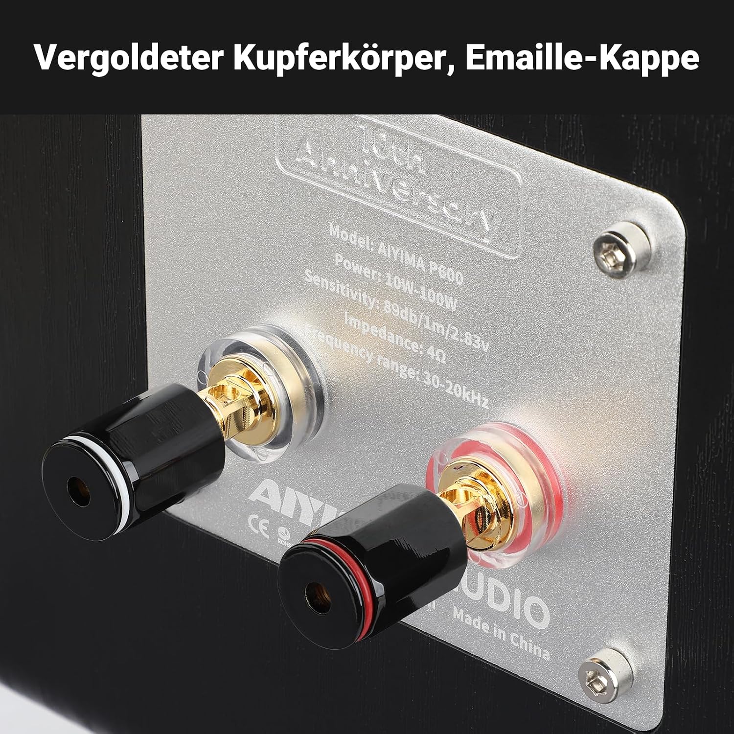 Detalle de AIYIMA P600: 6,5-Zoll Zwei-Wege Passiv-Regallautsprecher für präzise Desktop-Klänge