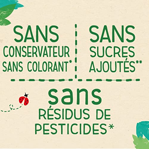 Detalle 2 de Blédina Gourdes Douceurs Fruitées 100% Végétal – Pommes/Bananes (4X(4X90GR))