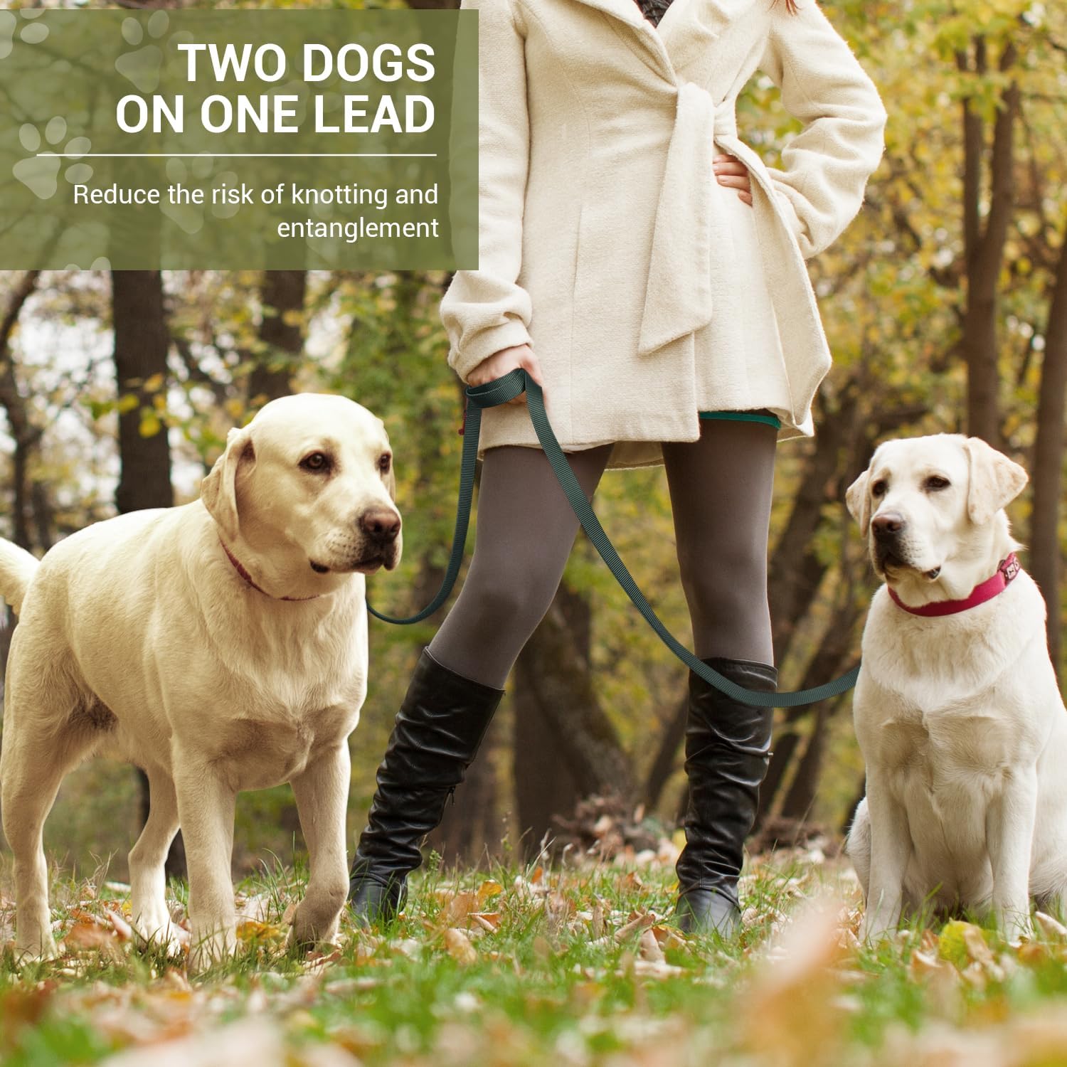 Thumbnail 3 de PETCOOZ Hundeleine mit 2 Karabinern, verstellbar auf 7 Längen – Schleppleine/Doppelleine für Hunde bis 30 kg, 3 m, dunkelgrün