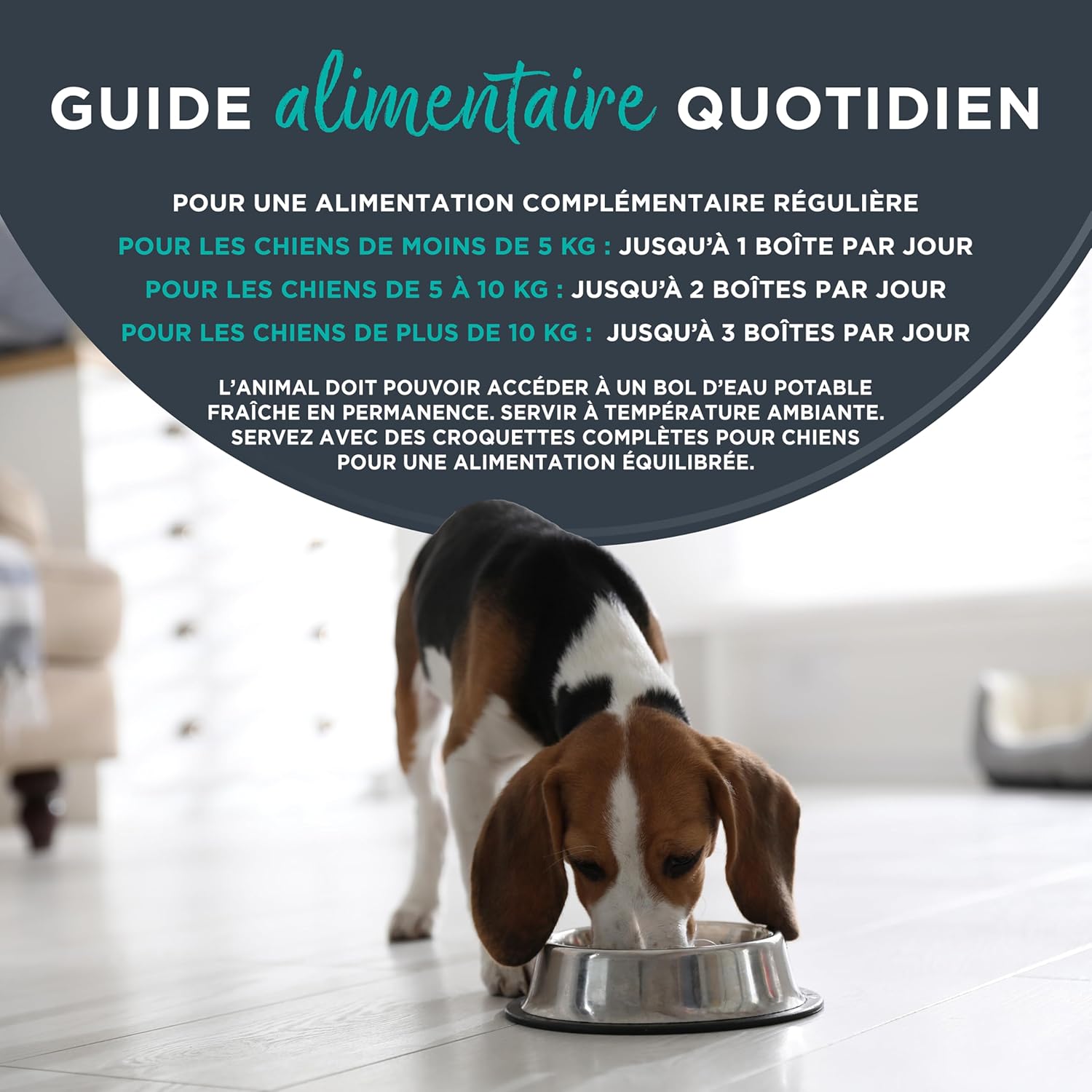 Detalle de Encore Alimentation Humide Premium pour Chiens Adultes – Poulet en Bouillon, Lot de 20 boîtes de 156 g