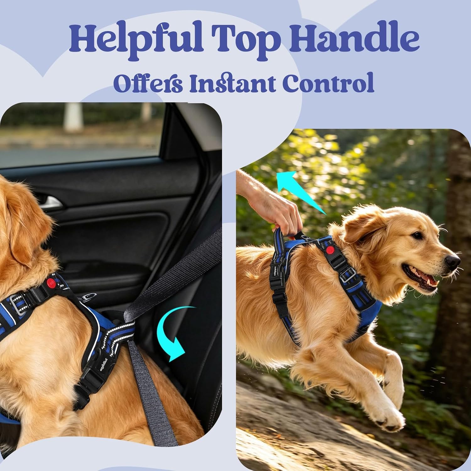 Thumbnail 6 de rabbitgoo No-Pull Dog Harness L, 3 Buckles