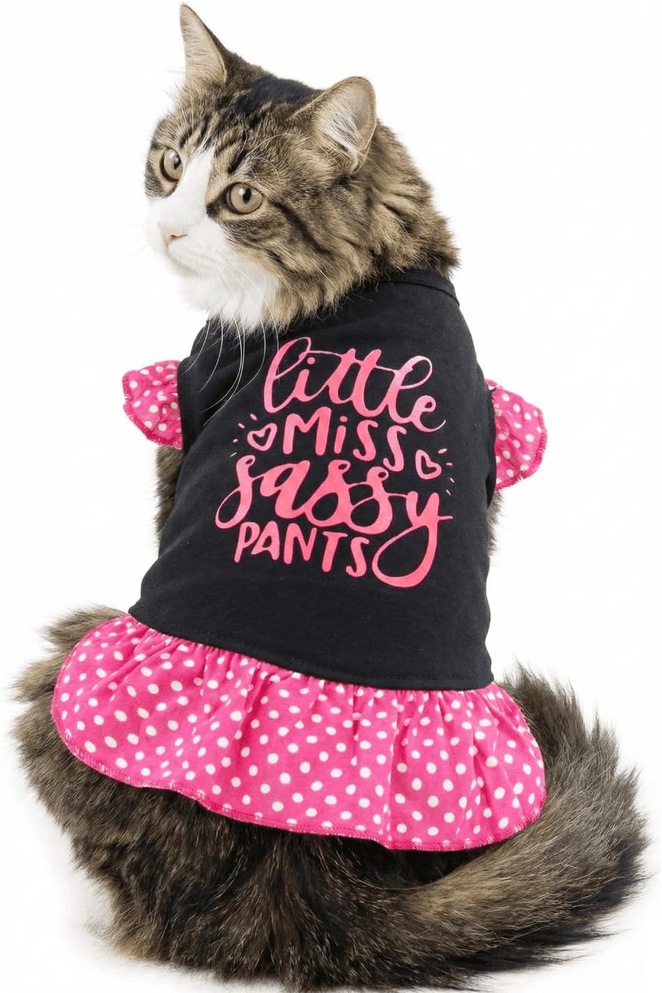 Detalle de Dog Dress, Large