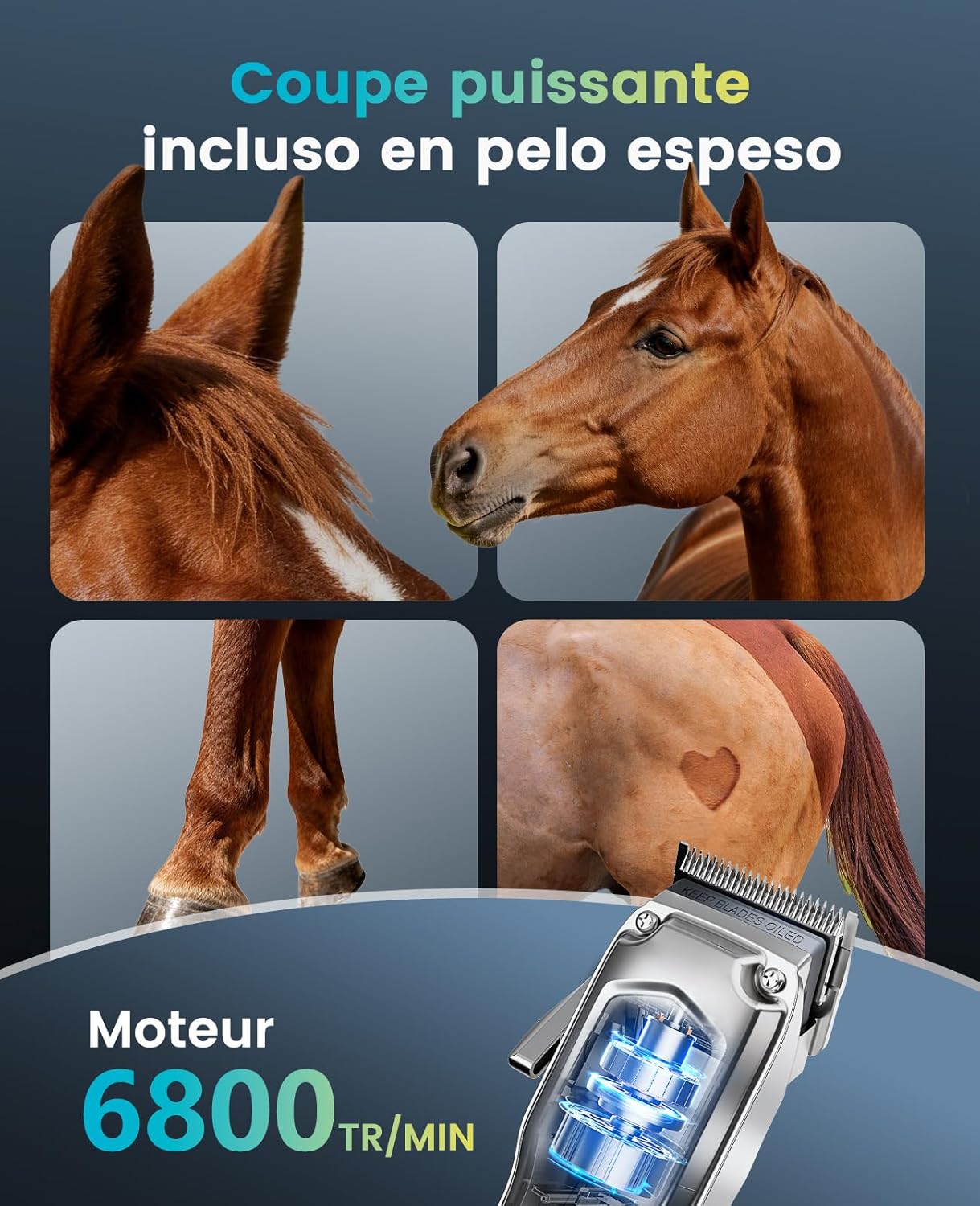 Thumbnail 2 de Oneisall Tondeuse sans fil silencieuse pour chevaux, rechargeable avec 6 accessoires et lame amovible