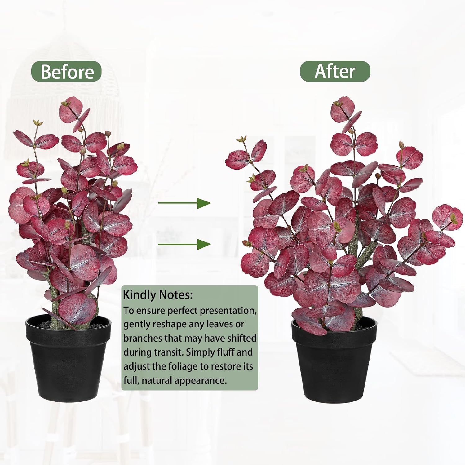 Thumbnail 6 de Arborus 46cm Tall Artificial Eucalyptus Plant in Black Pot (Silver Dollar Red Eucalyptus look)