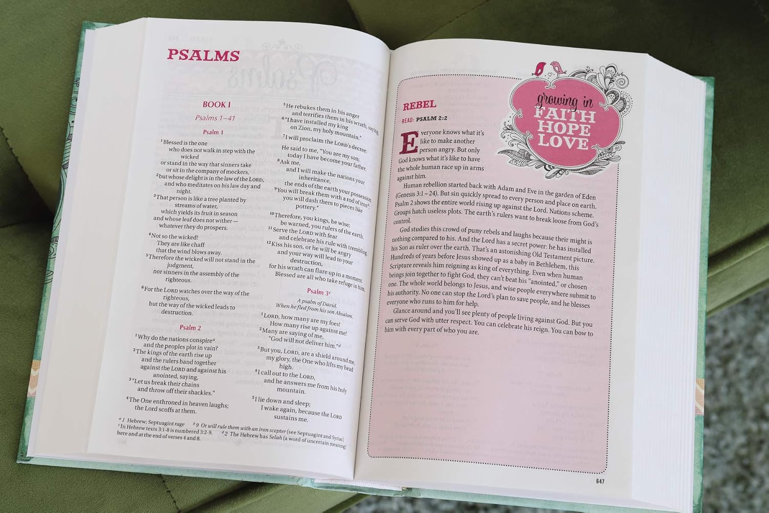 Thumbnail 6 de Zondervan NIV Bible for Teen Girls, Hardcover with Daily Readings and Life Advice