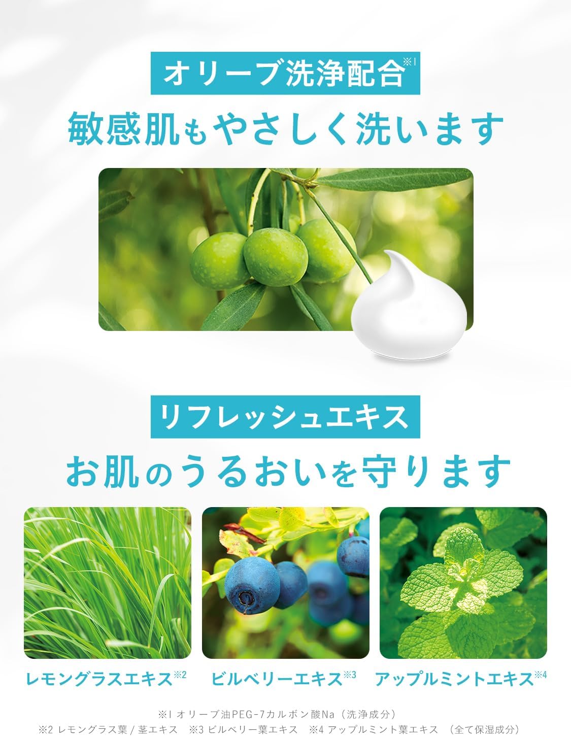 Detalle 2 de ダイアンボタニカル リフレッシュ&モイスト ボディソープ シトラスサボン 詰め替え 720ml