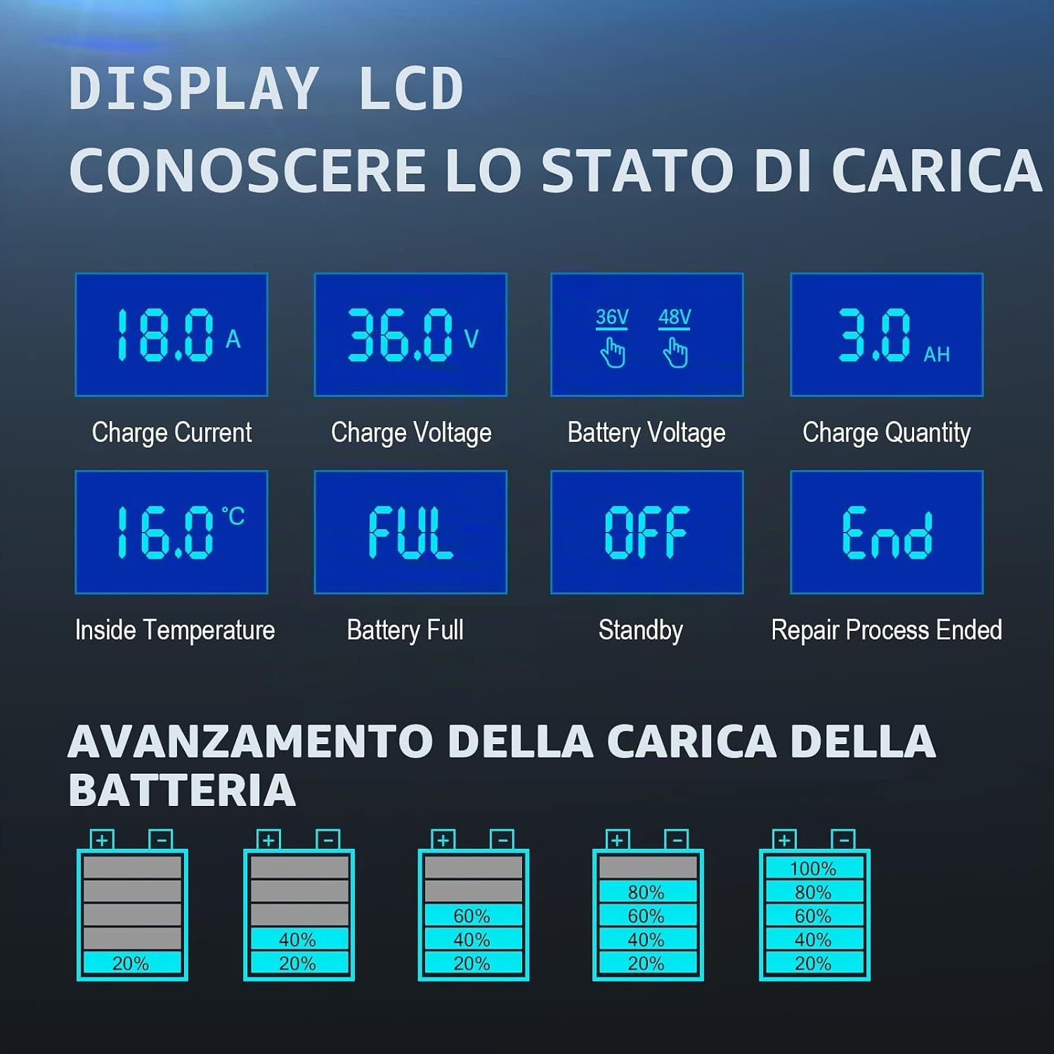 Detalle 2 de Haisito Caricabatterie automatico P3648 36V/48V: ricarica intelligente per batterie LiFePO4 e al piombo
