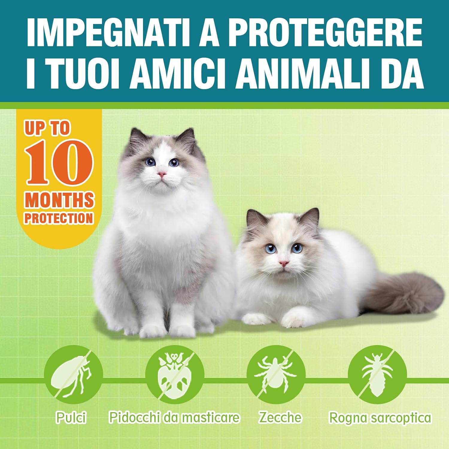 Detalle 2 de Collare Antiparassitario per Gatti: Sicuro, Naturale e a Lunga Durata (48 cm)
