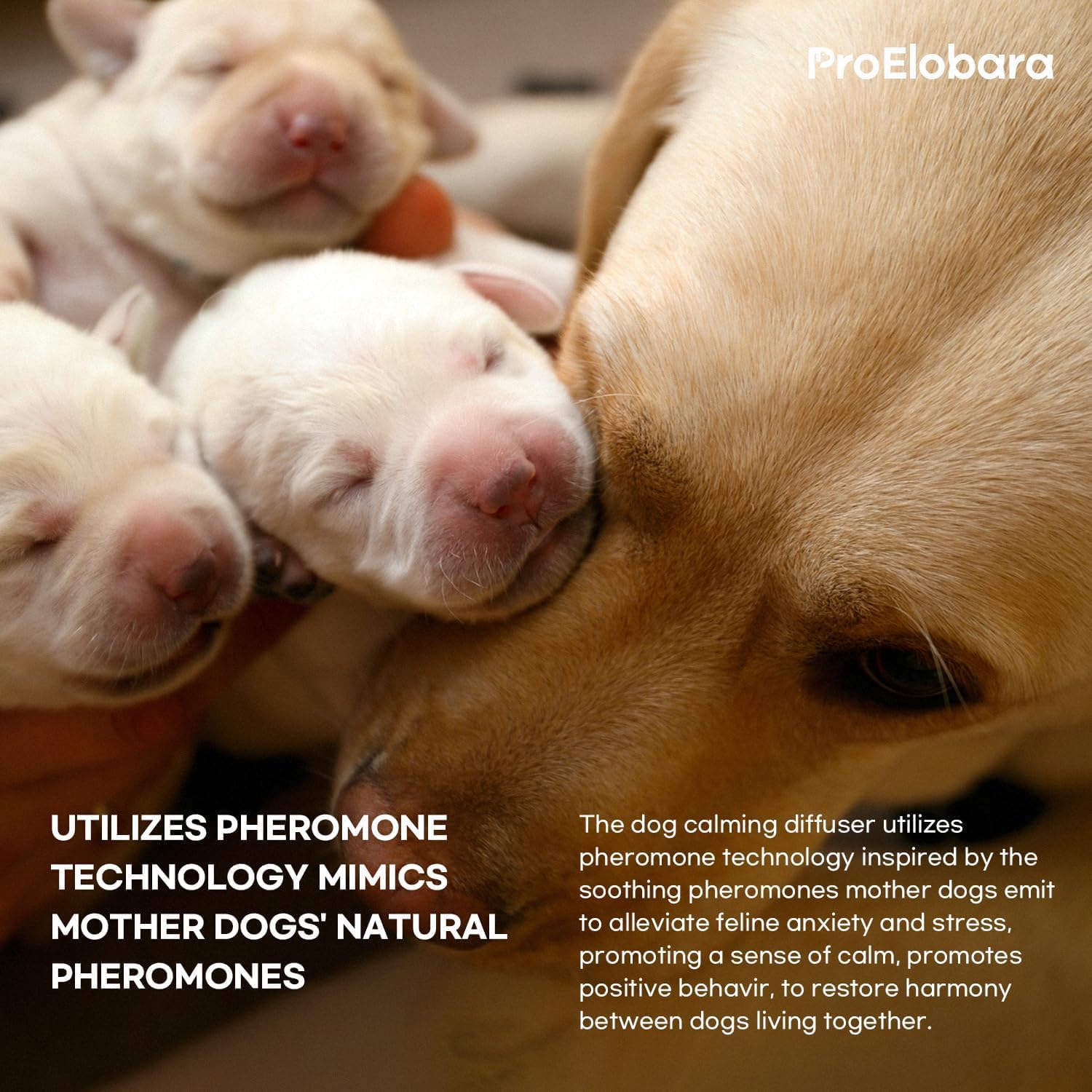 Detalle 2 de ProElobara Dog Calming Diffuser 62 Day