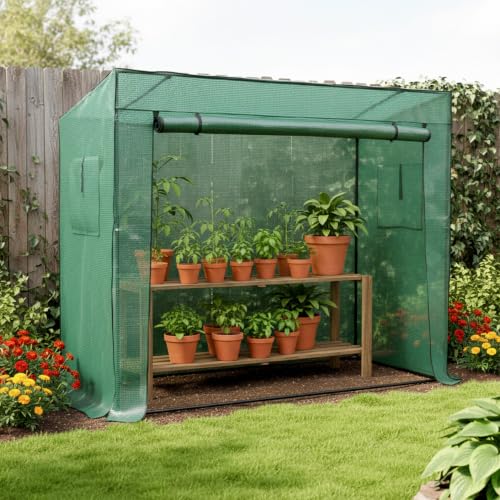 Detalle de Baroni Home Serra da Giardino con Copertura in PVC Trasparente – Telaio in Acciaio Resistentes e Porta Avvolgibile