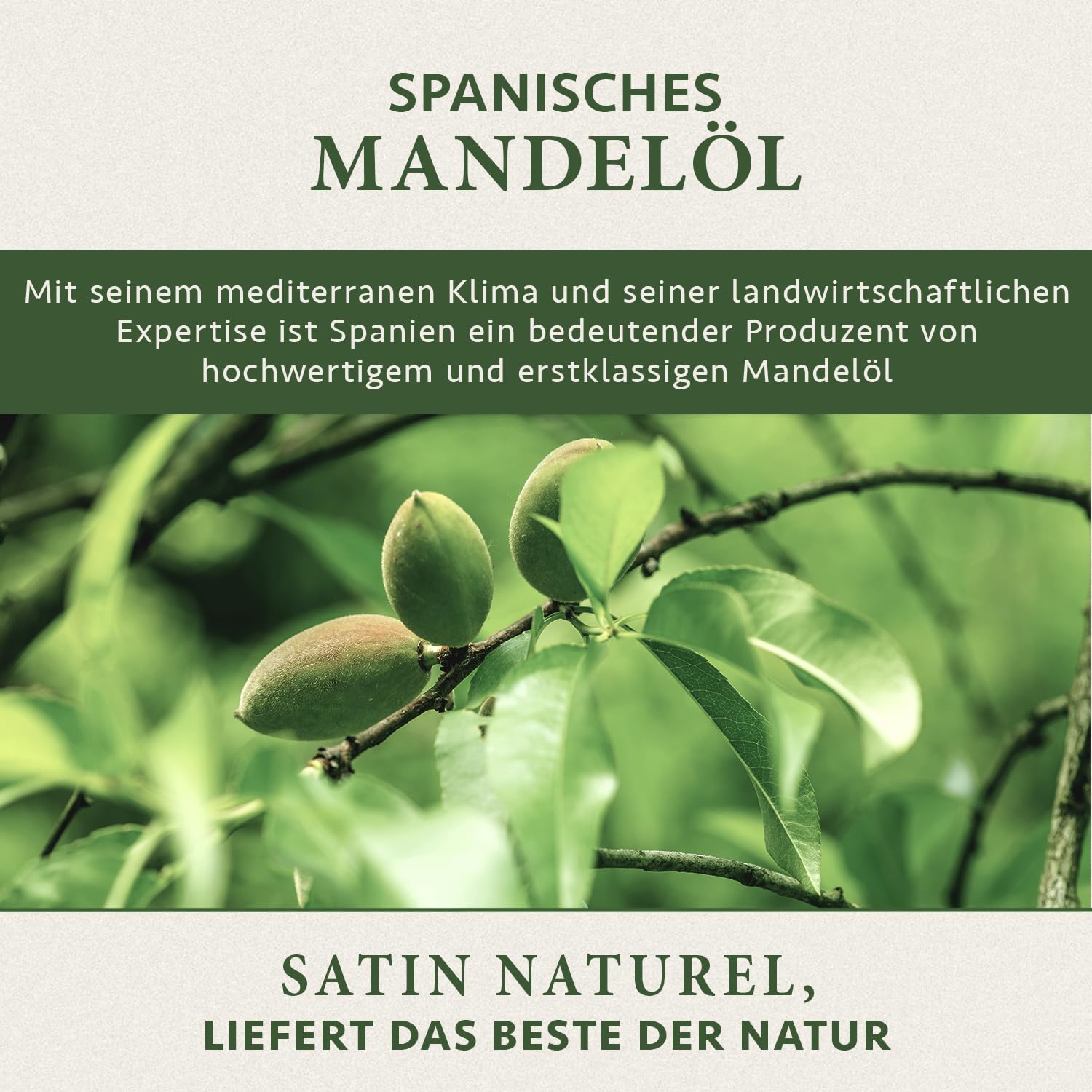 Detalle de Satin Naturel Mandelöl BIO kaltgepresst naturrein (100 ml) – 100% Süßes Mandelöl für Haar, Haut & Massage