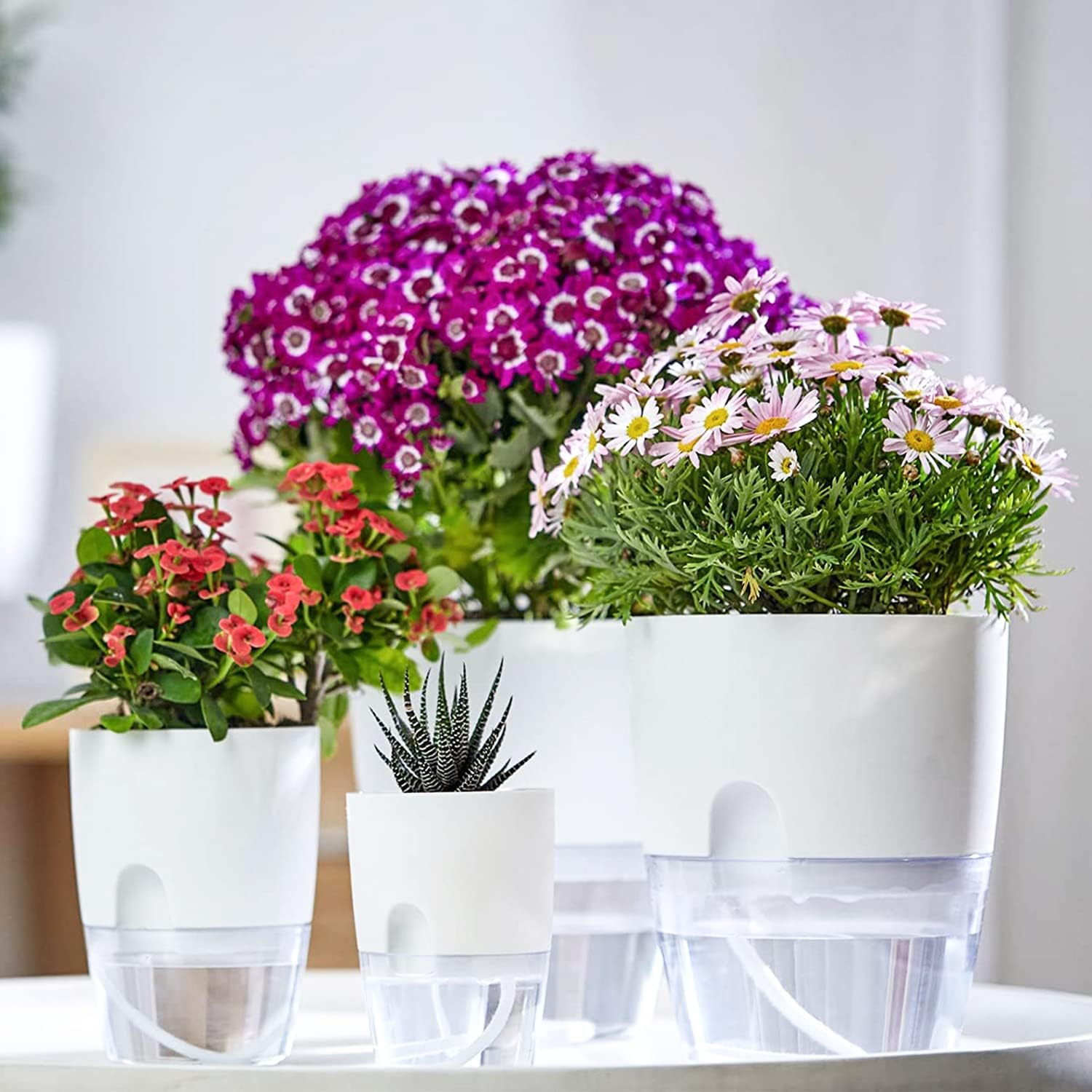 Thumbnail 6 de iDattel selbstbewässernder Blumentopf mit Bewässerungssystem – Kräutertopf Küchenfensterbank, 5er Set (weiß)