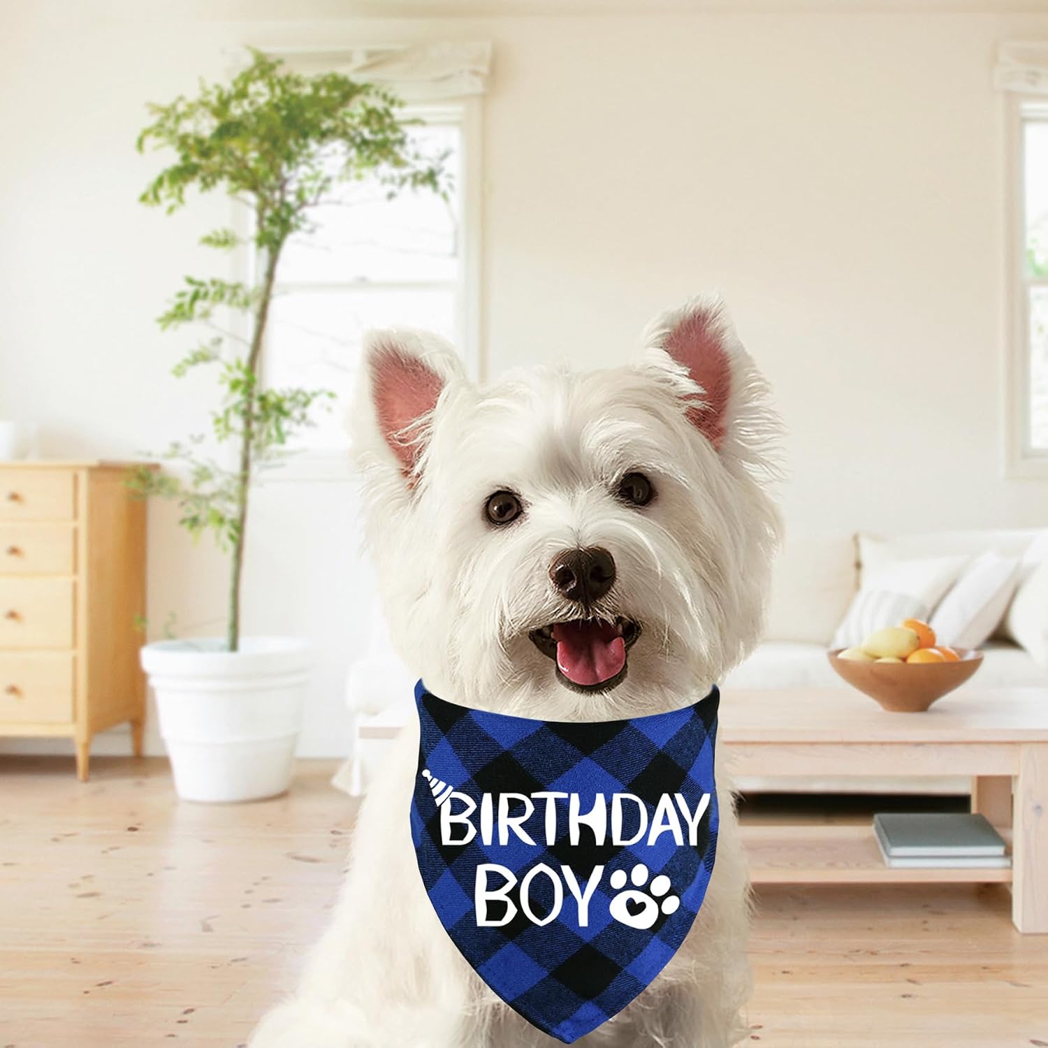 Thumbnail 4 de STMK Dog Birthday Bandana, Small
