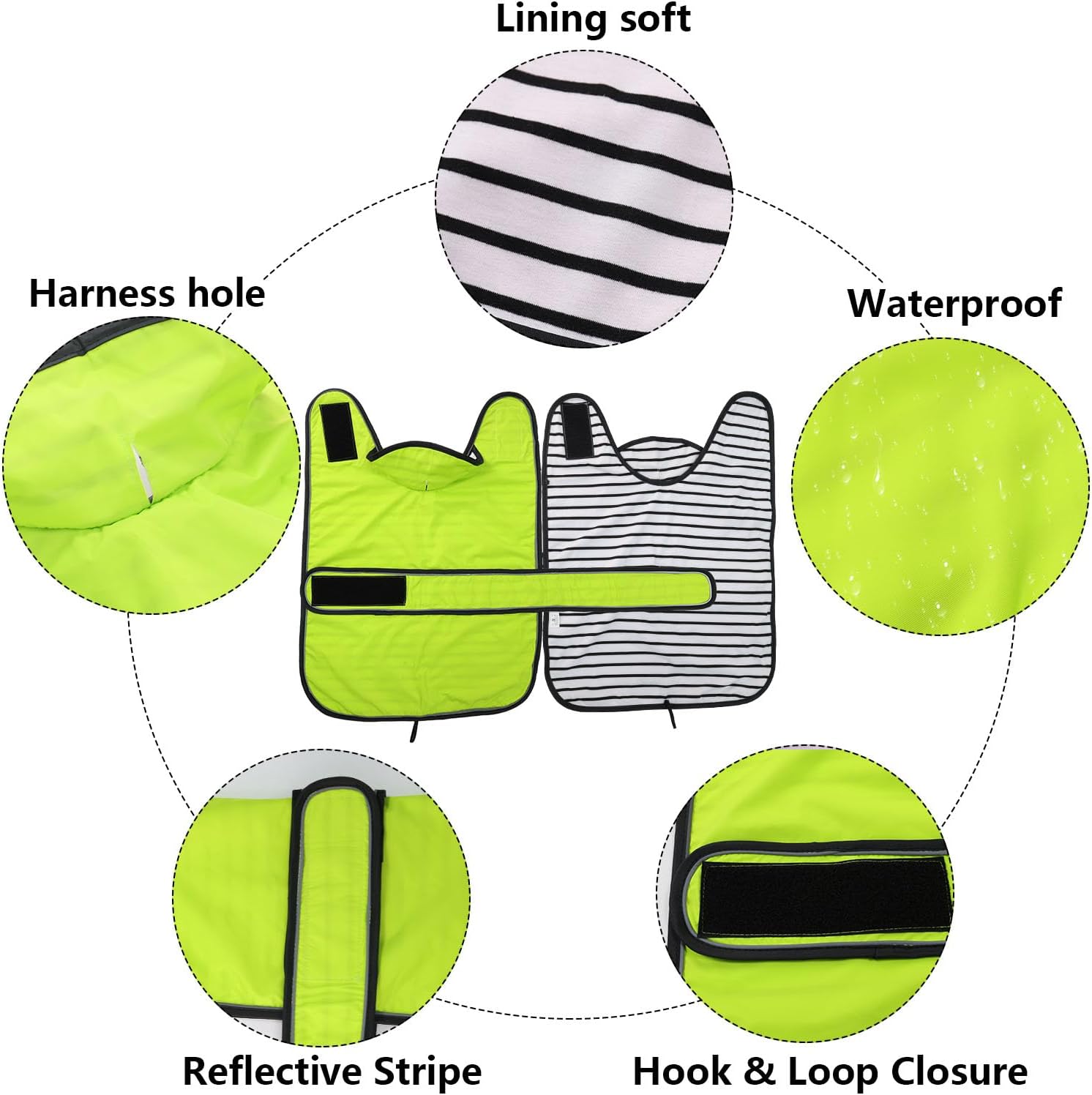 Thumbnail 2 de Morezi Dachshund raincoat (light green) with reflective stripe, waterproof fit for long-back breeds