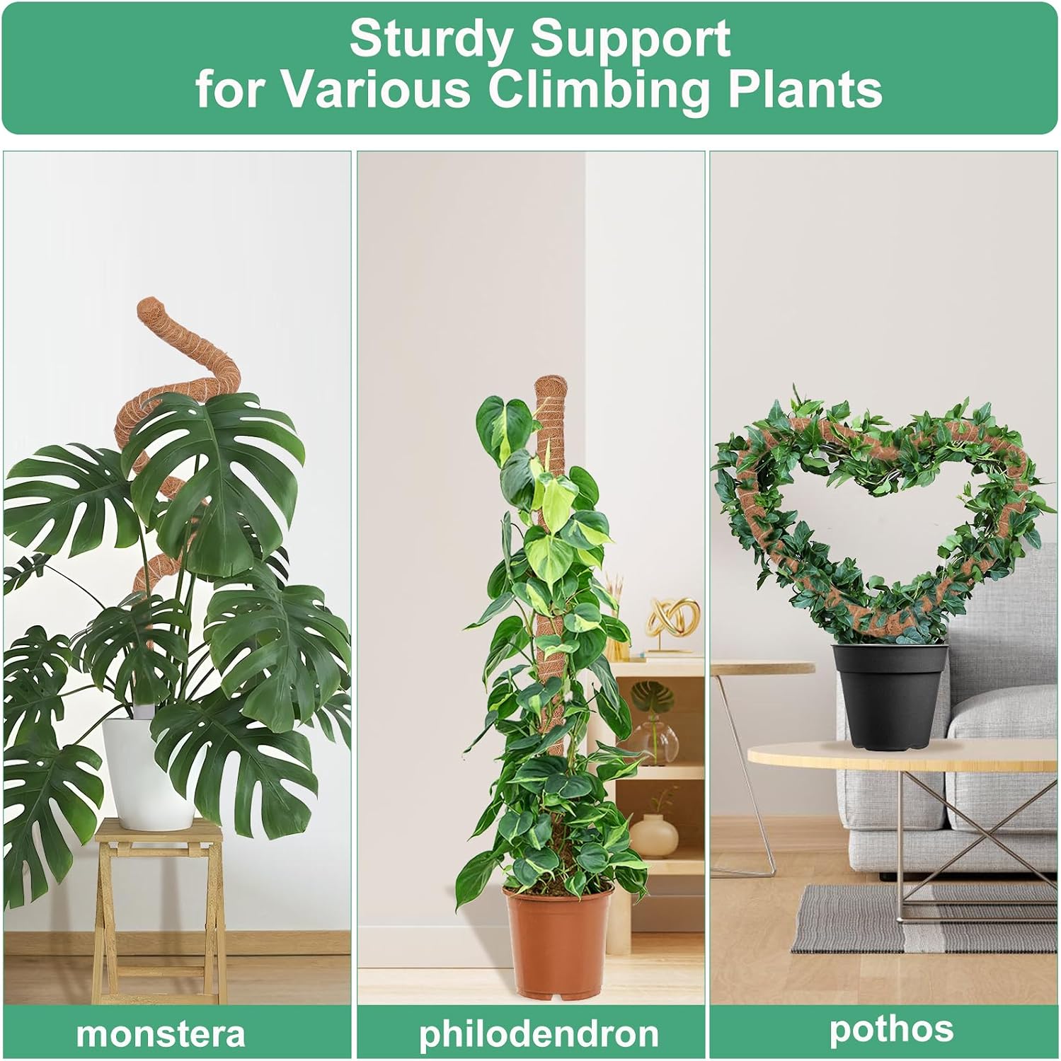 Thumbnail 6 de LifeNest LifeNest-01 Moss Pole Plant Supports, 50-Inch Coir, 3-Pack