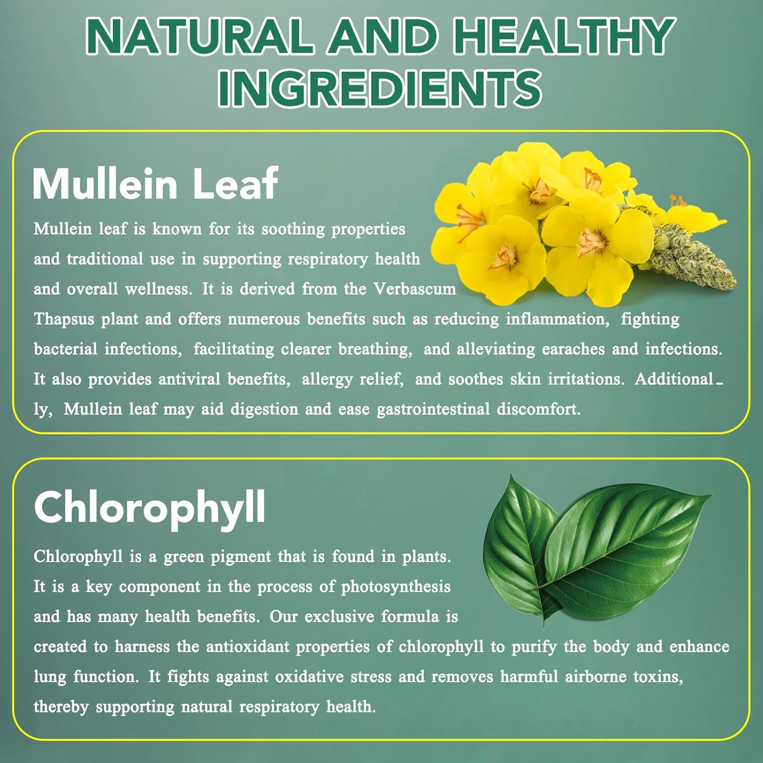 Thumbnail 6 de Mullein Leaf Extract for Lungs 60ML Drops — Premium Vegan Lung Support