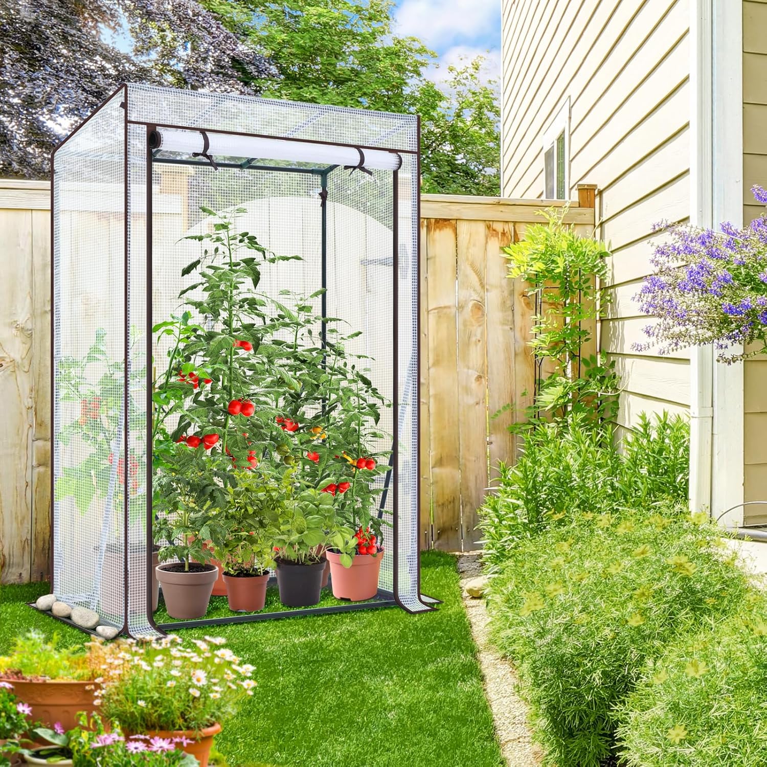 Thumbnail 1 de Ohuhu Premium Foliengewächshaus klein für Tomaten & Balkon (100 x 50 x 152 cm) – winterfestes Überwinterungszelt