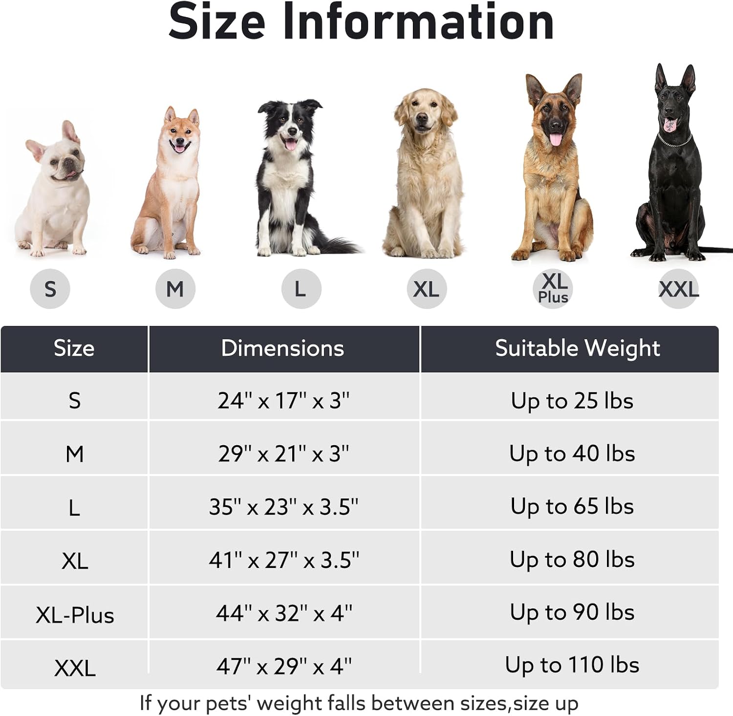 Thumbnail 6 de FURTIME Dog Bed, Medium