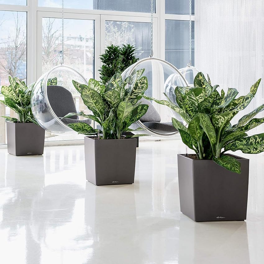 Thumbnail 2 de Lechuza Premium Cubeta de Plantado Cerrada 🪴 50x50x50cm Blanco