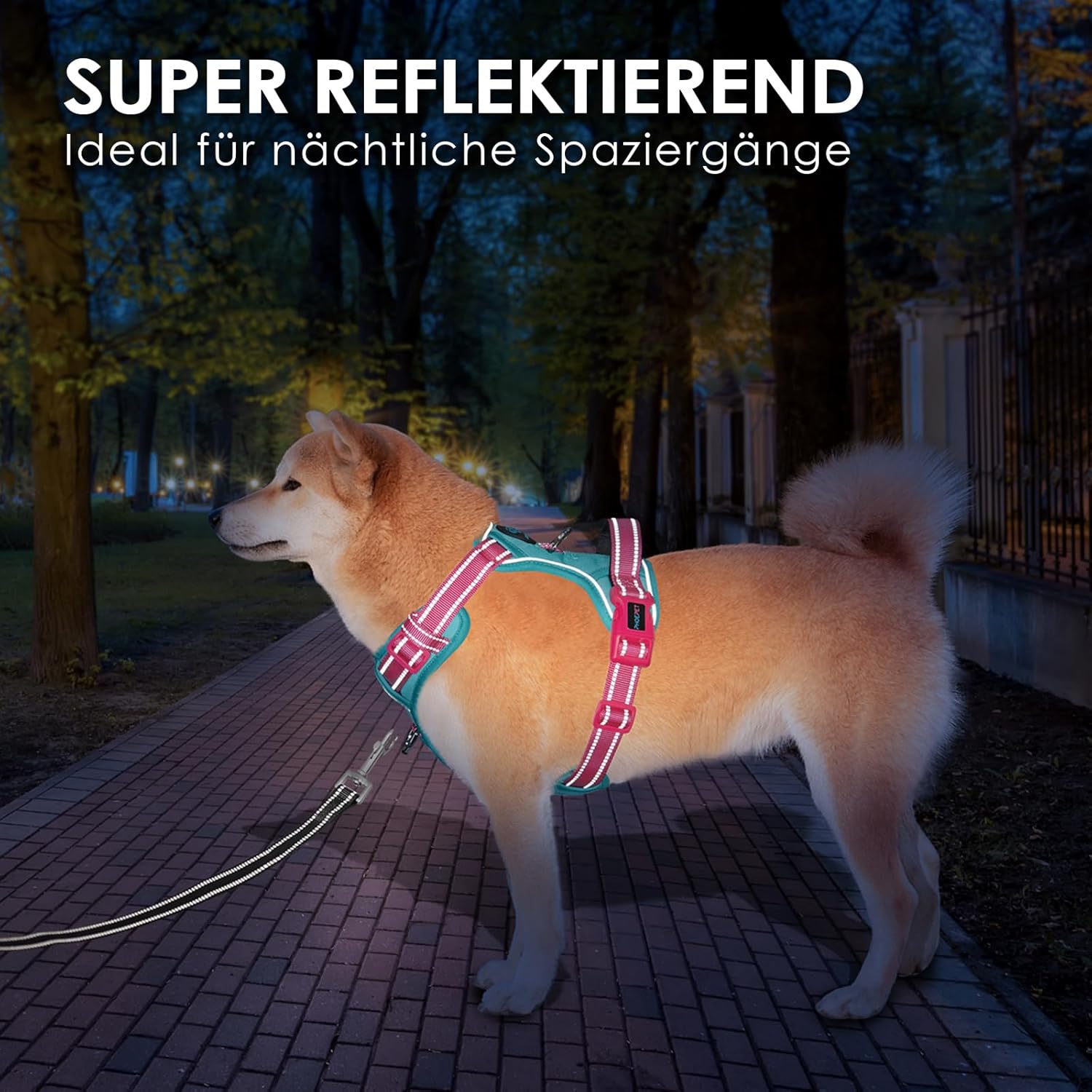 Thumbnail 6 de PHOEPET Anti-Zug Hundegeschirr verstellbar mit Reflektoren, Trainingsgriff & Metallclips (L, Minzgrüne Basis & Pinke Träger)