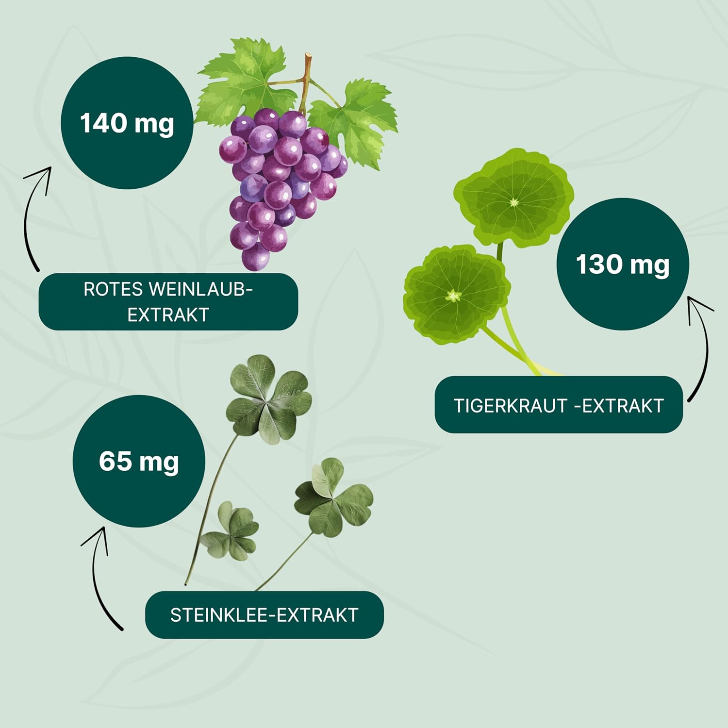 Detalle de ESSENZ Hämo Plus Kapseln – Pflanzliche Unterstützung für das Wohlbefinden, vegan & glutenfrei (60 Kapseln)