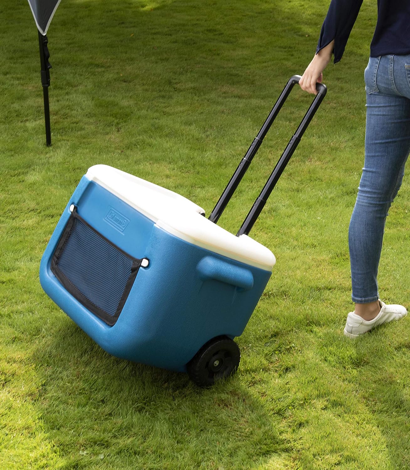 Thumbnail 6 de Coleman 50 QT Poly-lite Ghiacciaia con Rotelle – 47 L