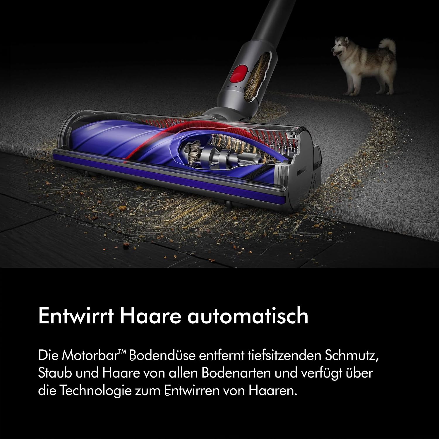 Detalle de Dyson V8 Absolute Staubsauger 115 AW 🧹