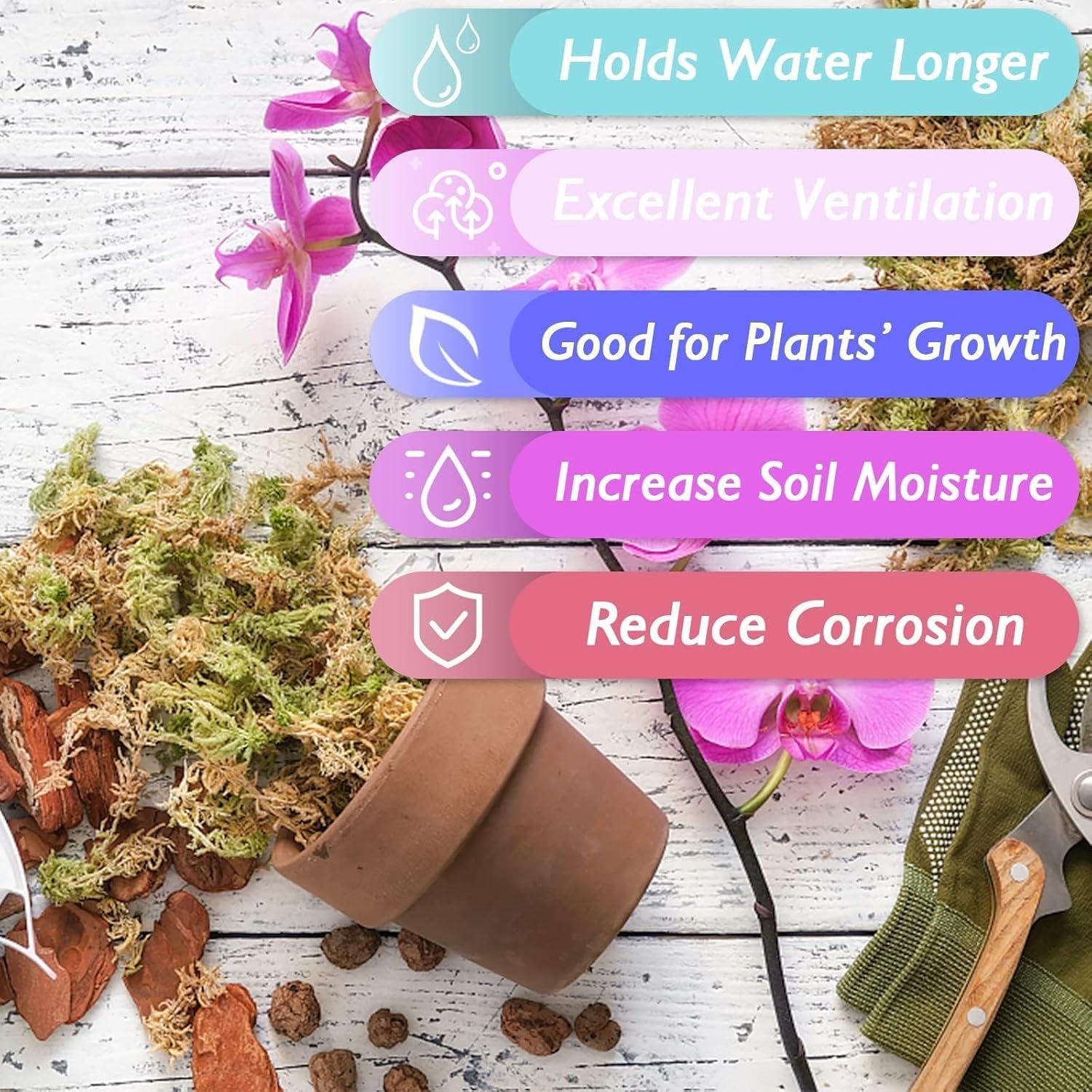 Thumbnail 2 de Halatool 1000g Premium Sphagnum Moos – Vielseitiges Torfmoos für Orchideen, Terrarien und Zimmerpflanzen