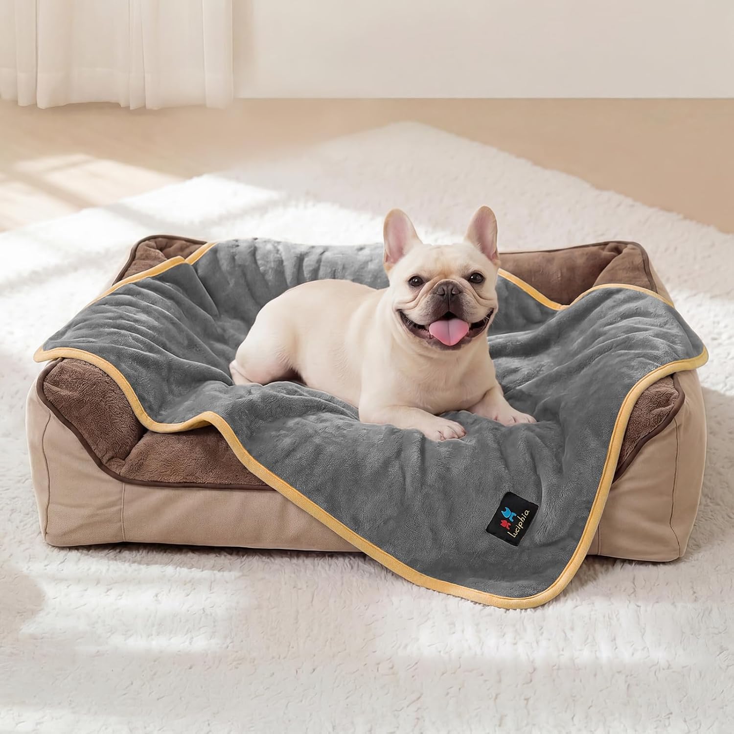 Detalle de Luciphia Waterproof Pet Blanket, XS Reversible Sherpa Fleece Throw
