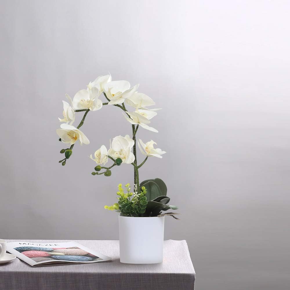 Thumbnail 6 de Orchidée artificielle blanche dans pot blanc — fleur et plante réalistes pour la maison et le bureau