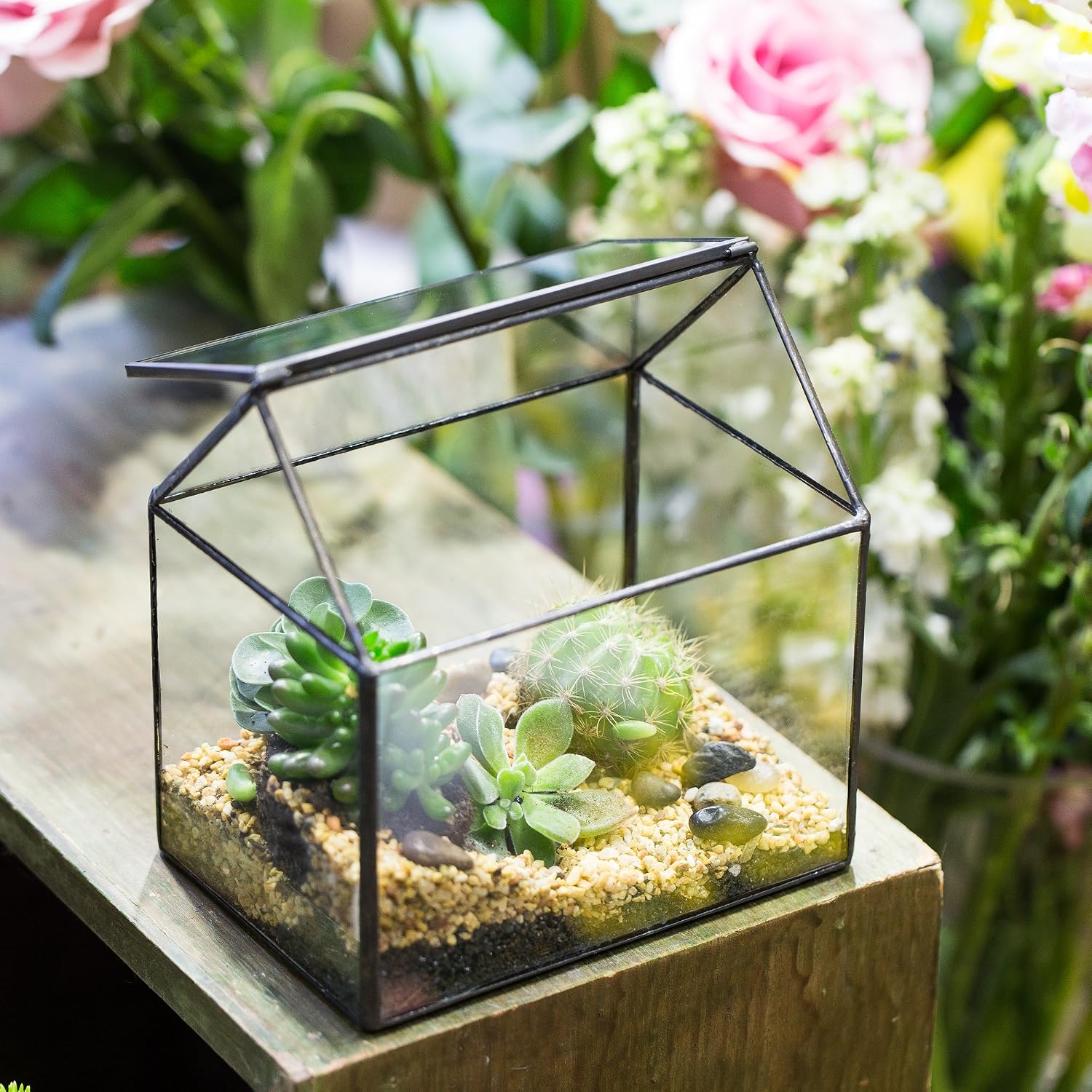 Thumbnail 1 de NCYP Small Closed Glass Geometric Terrarium with Swing Lid for Succulents and Moss