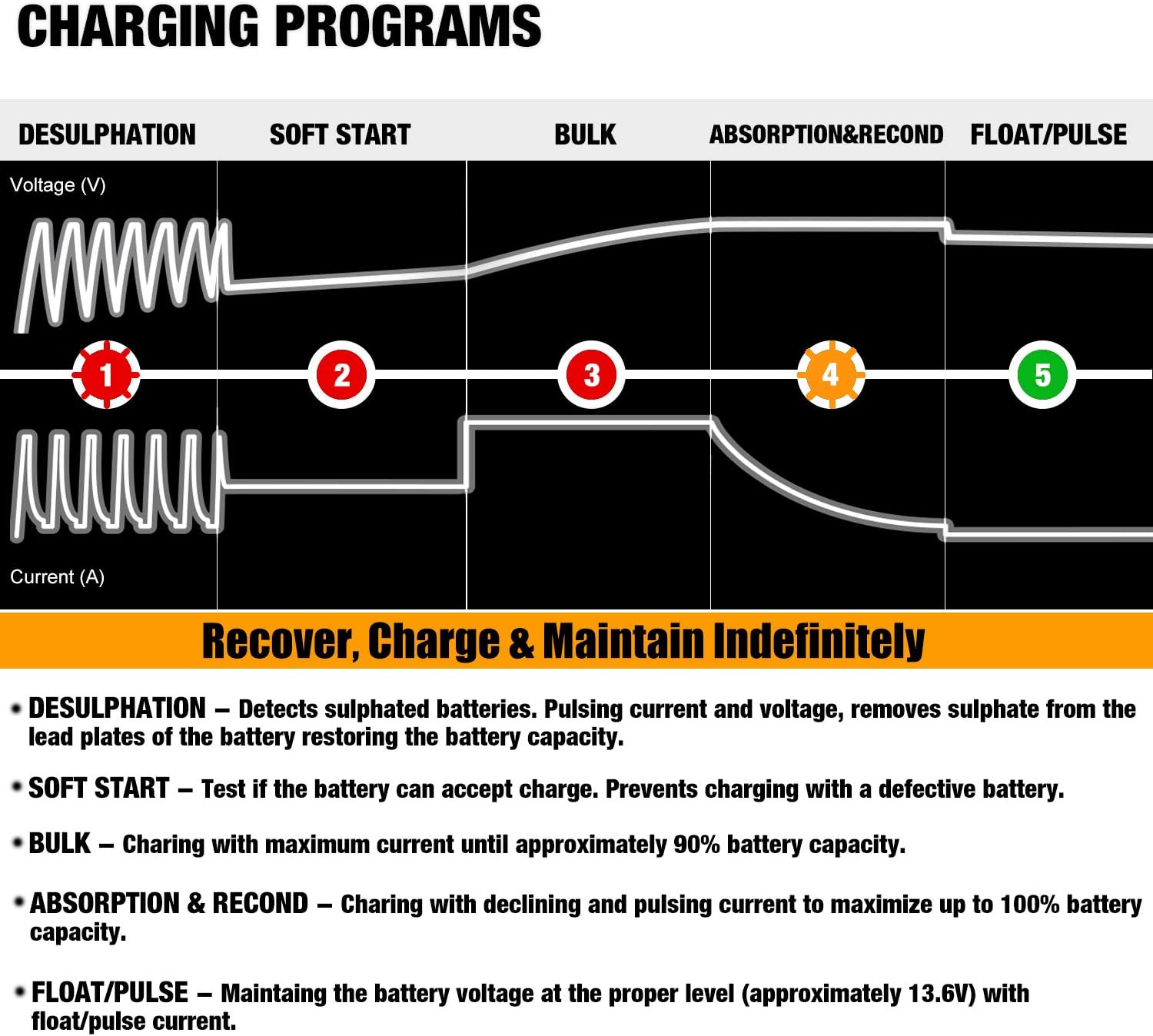 Thumbnail 6 de MOTOPOWER MP0205A 12V 800mA cargador inteligente