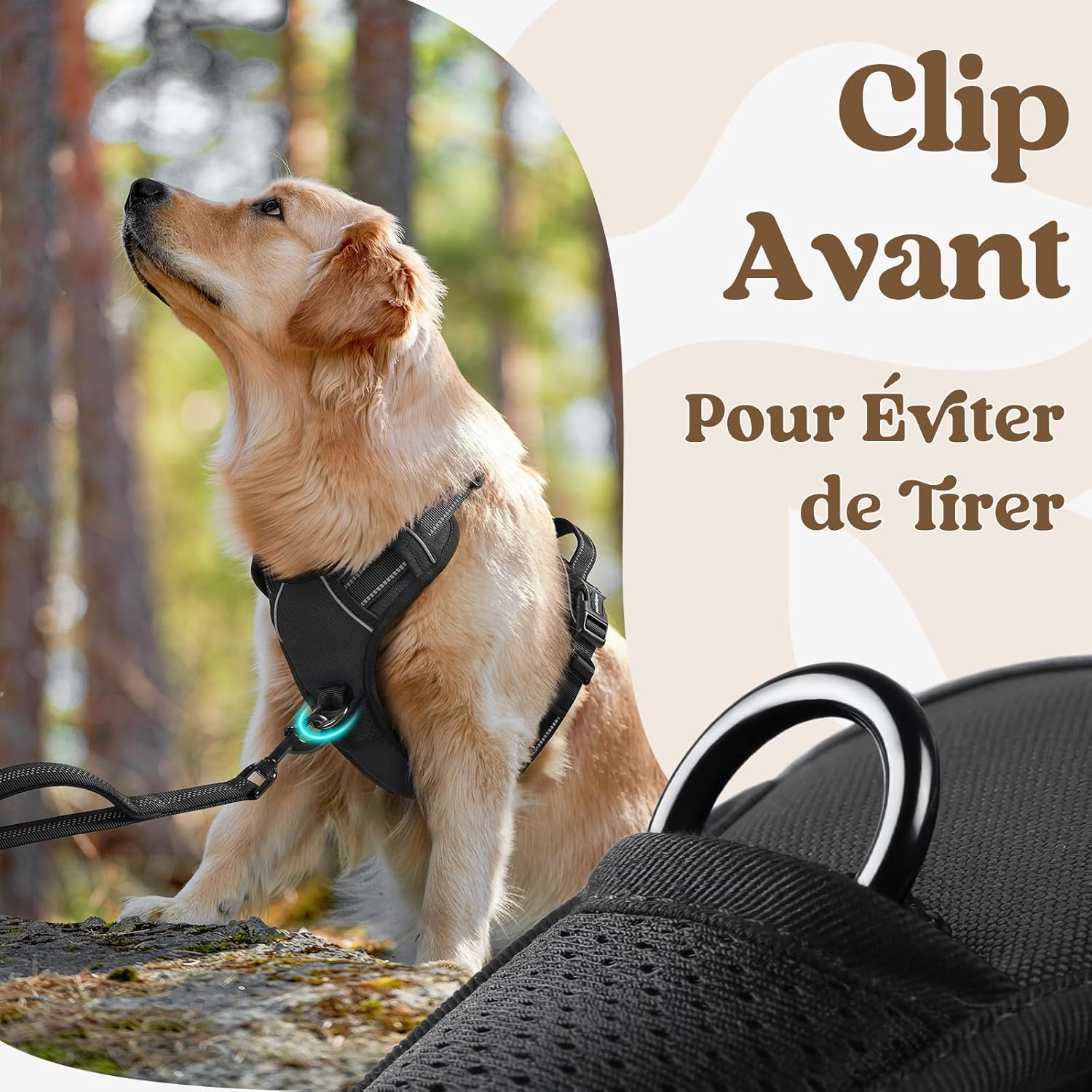 Detalle 2 de rabbitgoo Harnais pour chien anti-traction à 3 boucles, poignée et attache devant, réglable et réfléchissant (XL, noir)