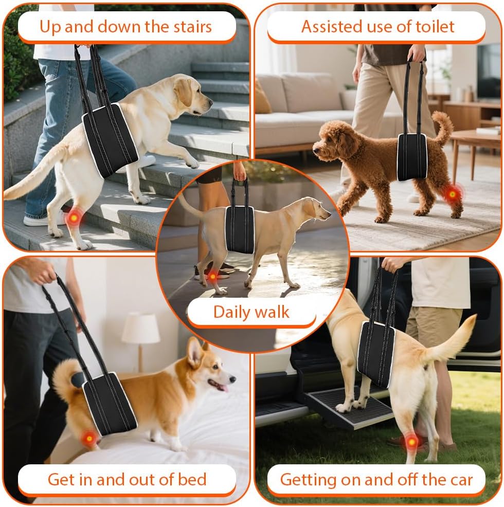 Thumbnail 6 de AOOHA Harnais pour chien handicapé réglable (aide à la marche) en cuir PU imperméable