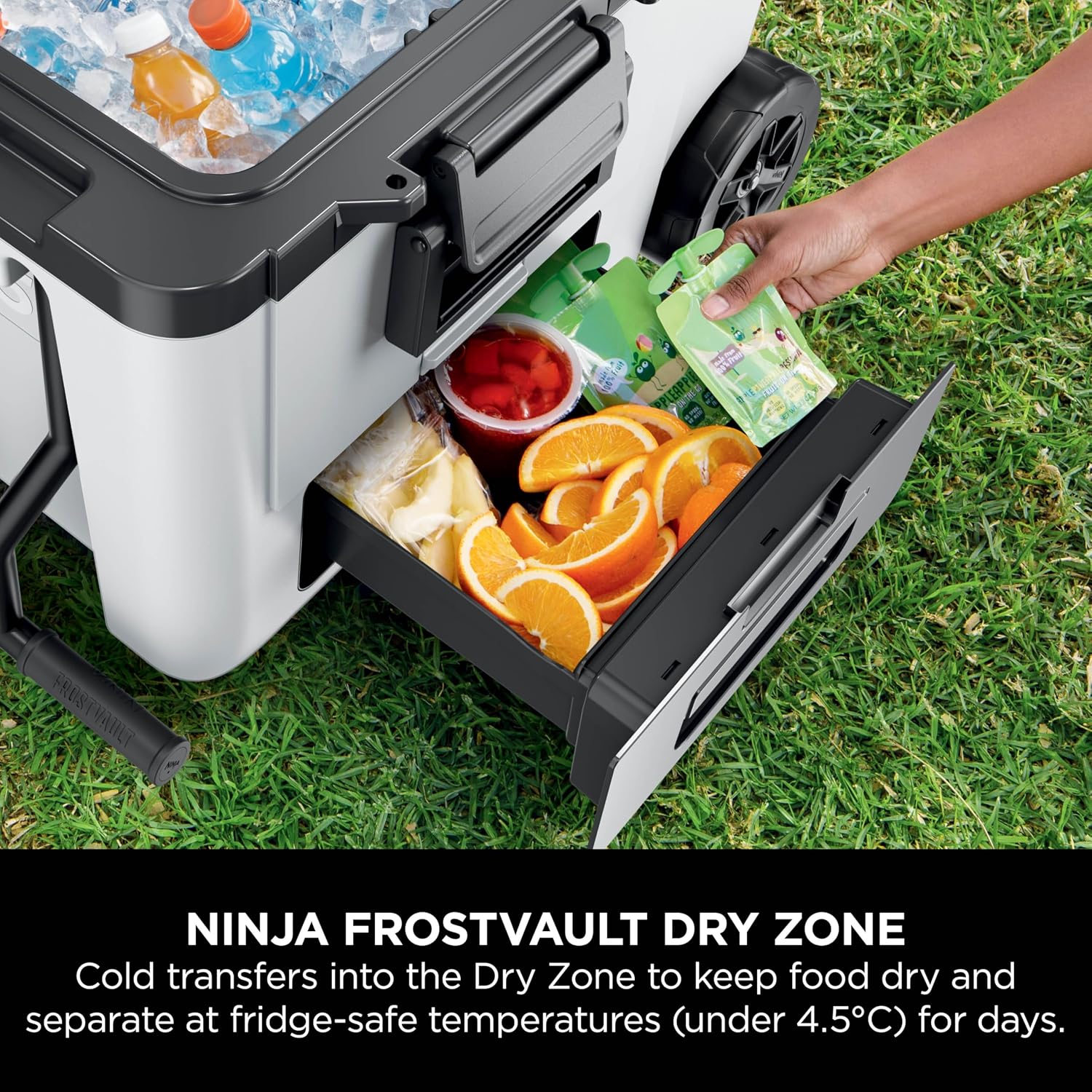 Thumbnail 3 de Ninja FrostVault 42L Heavy-Duty Insulated Cool Box