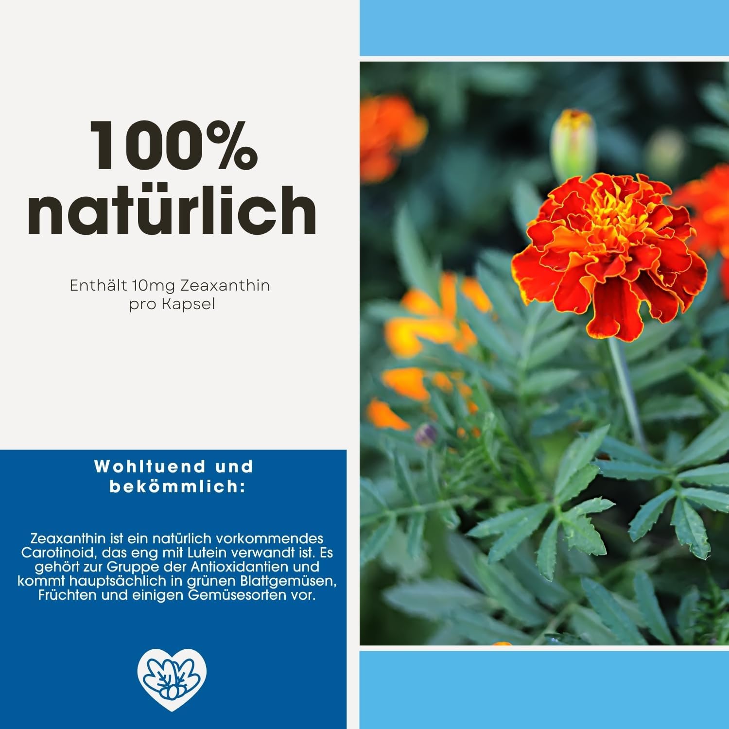 Detalle de Fair & Pure Zeaxanthin 10 mg – 90 Kapseln, schluckfreundlich, aus Tagetesblüten-Extrakt, vegan, hergestellt in Deutschland