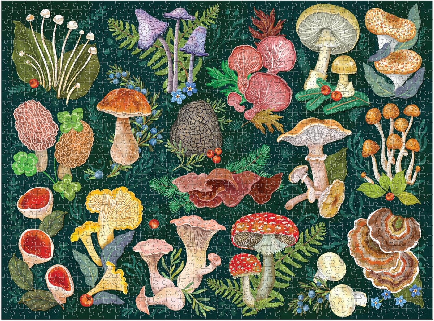 Thumbnail 1 de Galison World of Mushrooms puzzel met 1.000 stukjes en paddenstoelencollage