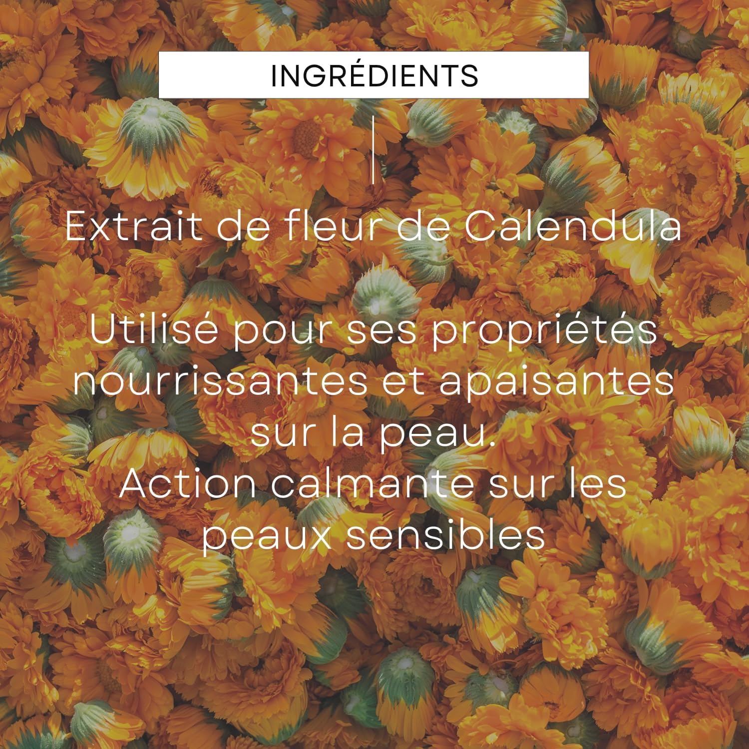 Thumbnail 1 de Weleda Baume intense universel Calendula pour bébé et jeunes enfants – Hydrate & nourrit (25 g)