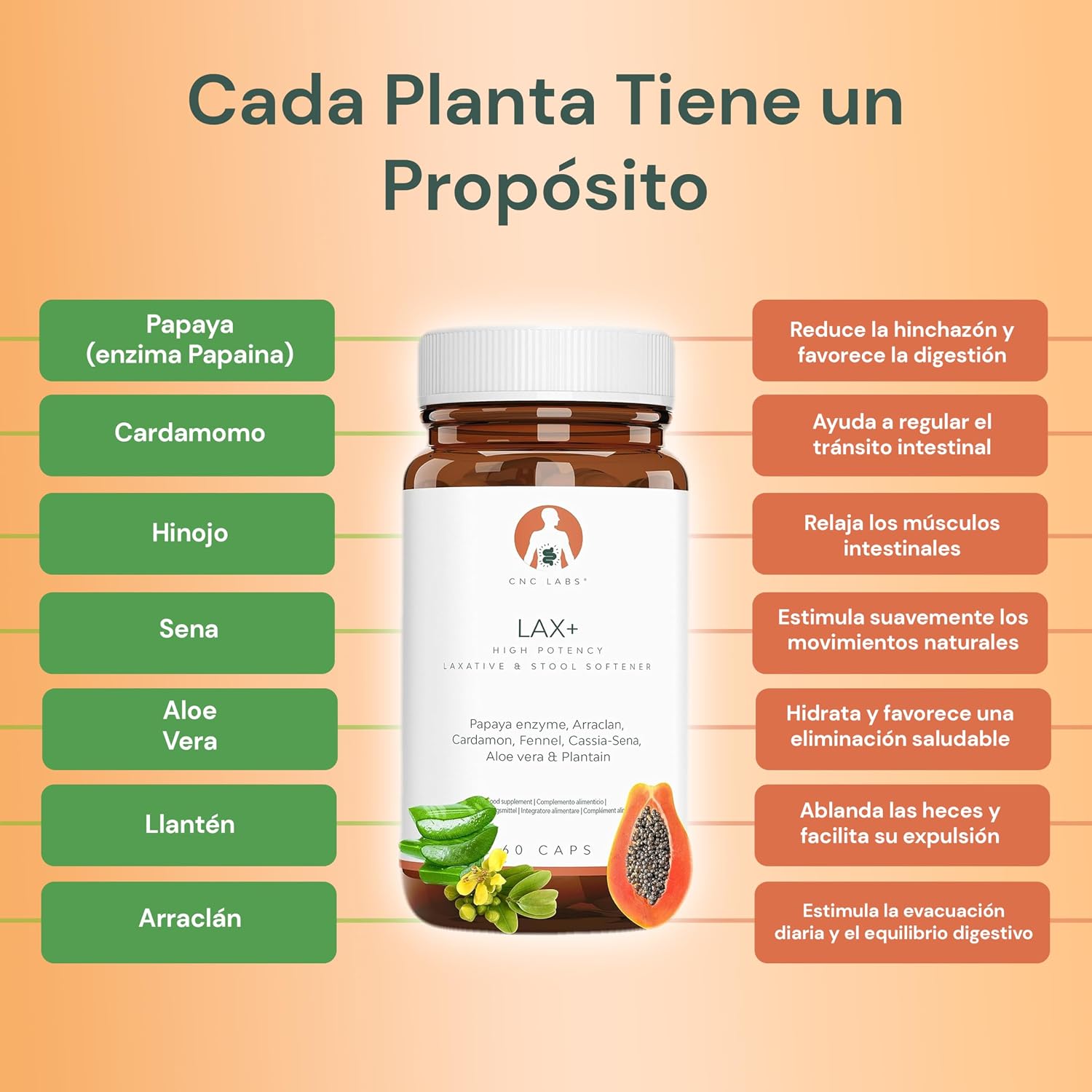 Detalle 2 de LAX+ Laxante natural 7 en 1 10 cápsulas