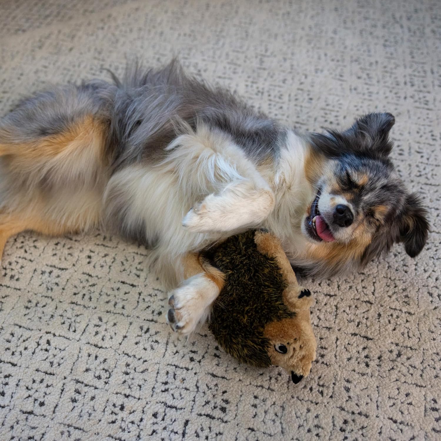 Detalle de Outward Hound Hedgehogz Plush Dog Toy, Medium