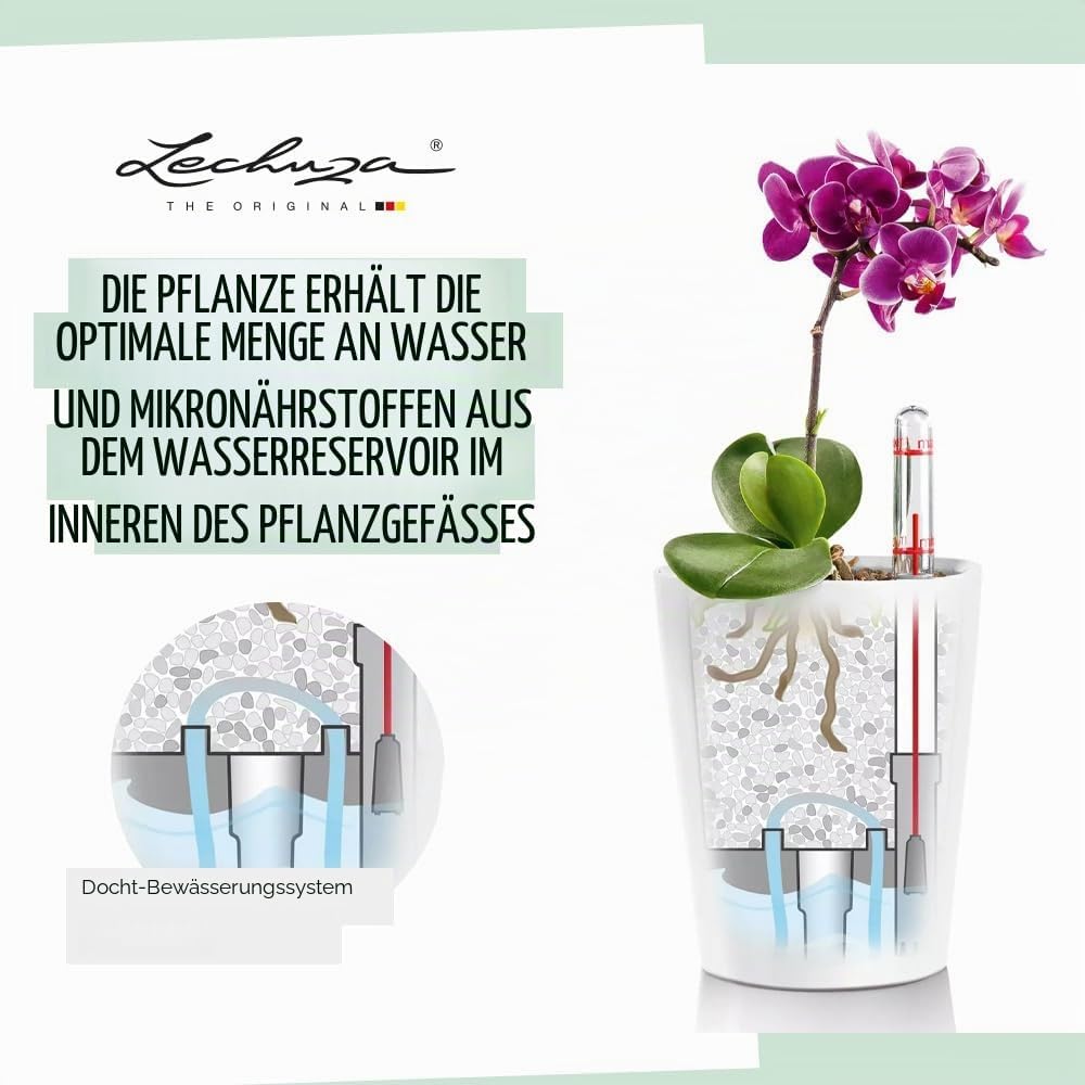 Thumbnail 1 de Lechuza MINI-DELTINI Komplettset weiß – All-in-One Pflanzgefäß mit Bewässerungssystem