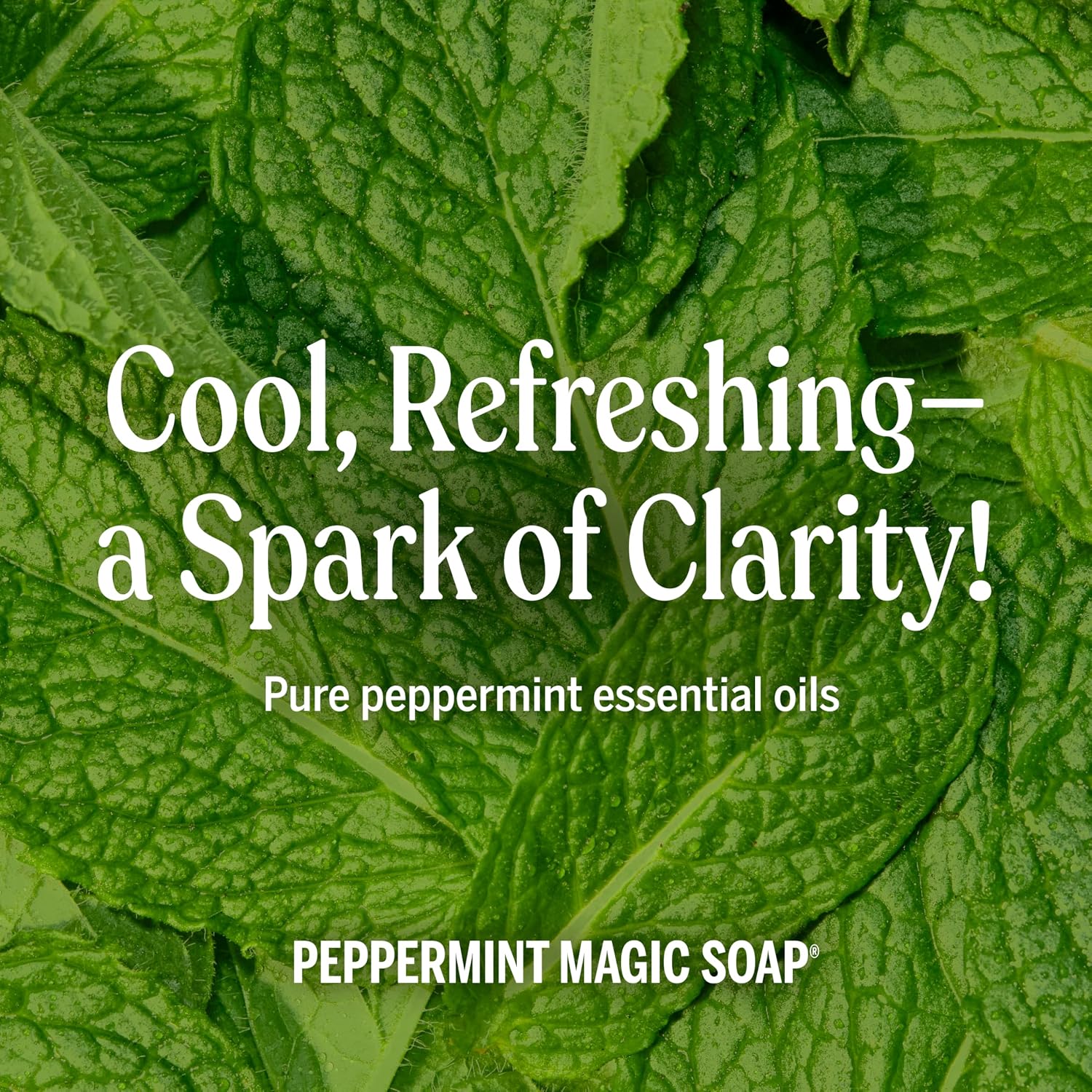 Thumbnail 4 de Dr. Bronner's SG_B001ET77YI_US Peppermint Castile Liquid Soap, 32 oz 2-Pack