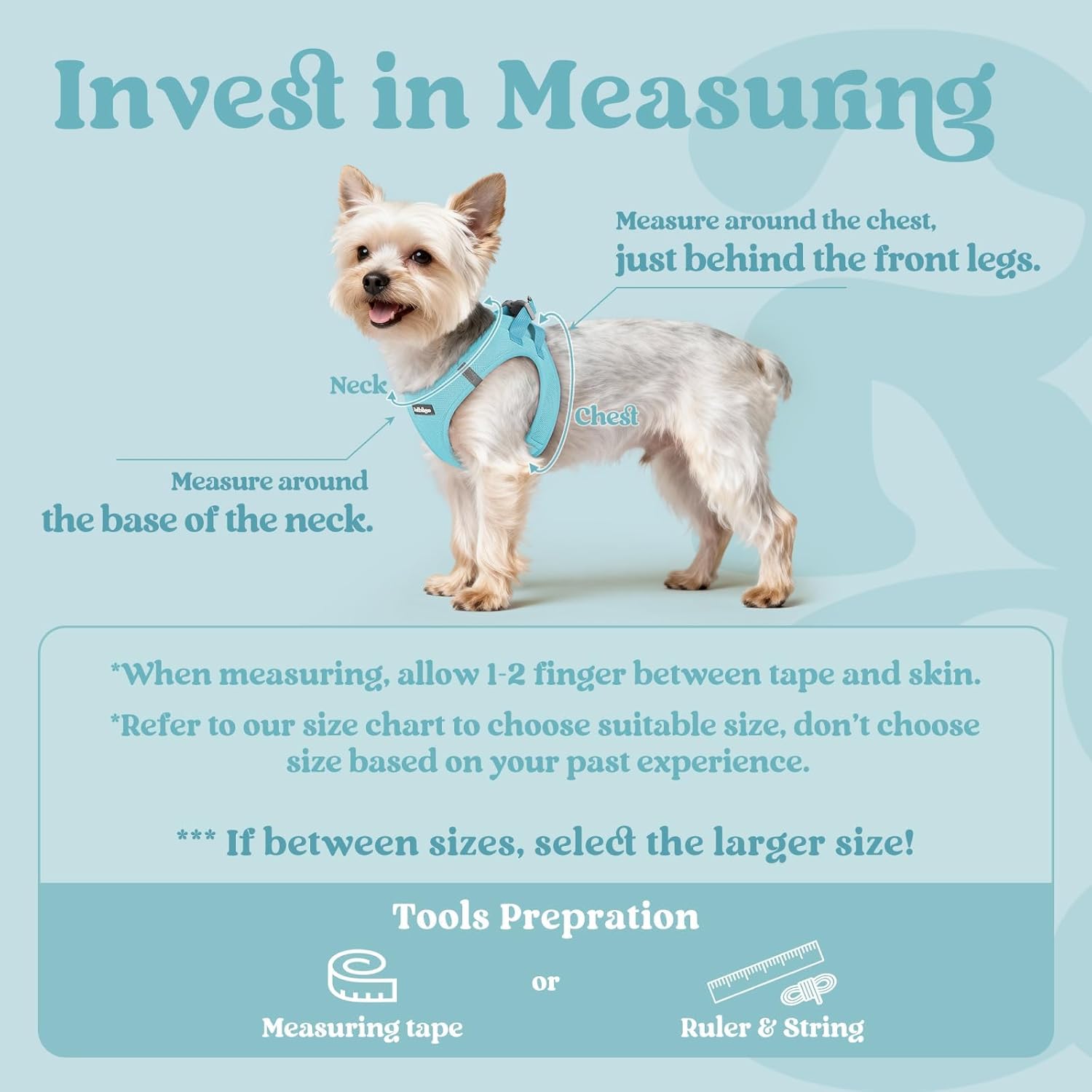 Detalle 2 de rabbitgoo Dog Harness Small Dog Step-in Soft Mesh Puppy Harness (Mint Blue, S)