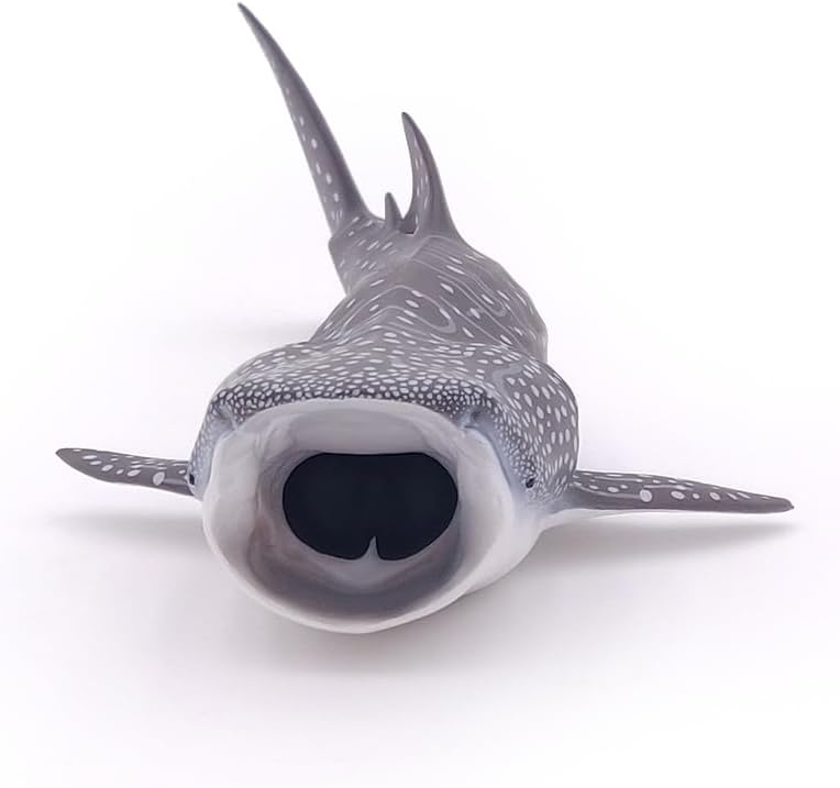 Detalle de Papo - Figurine Requin Baleine Réaliste Jouet Enfant 3 Ans+ | Univers Marin