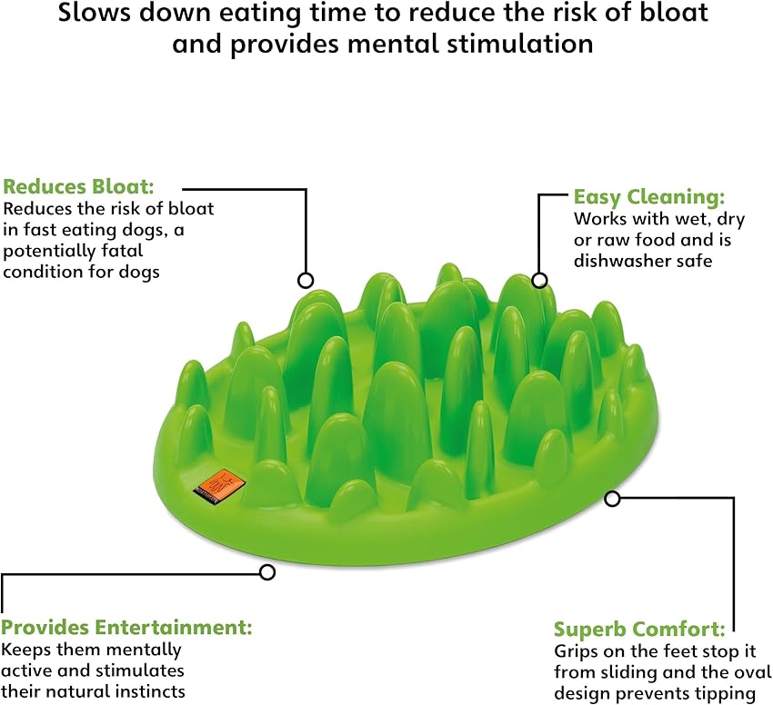 Thumbnail 1 de GREEN Comedero Interactivo L para perros
