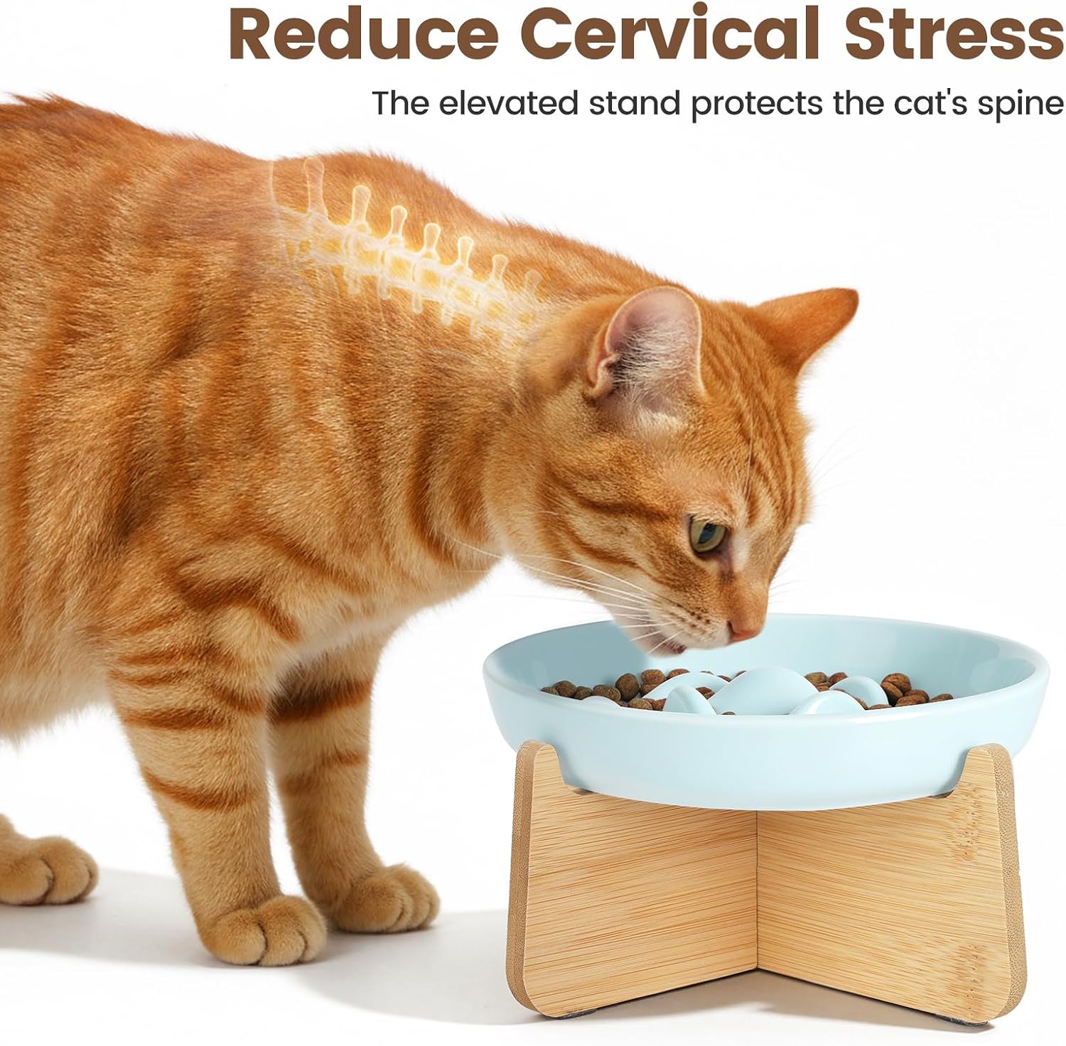 Detalle de PETTOM Slow Feeder Cat Bowl Ceramic with Bamboo Stand – Raised Rim, Spill-Proof and Whales-Inspired Design