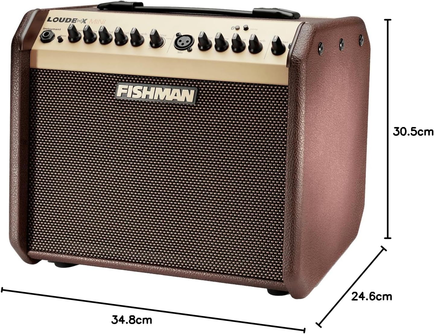 Detalle 1 de Fishman Loudbox Mini Bluetooth PRO-LBT-EU5 akoestische gitaarversterker, 60 W