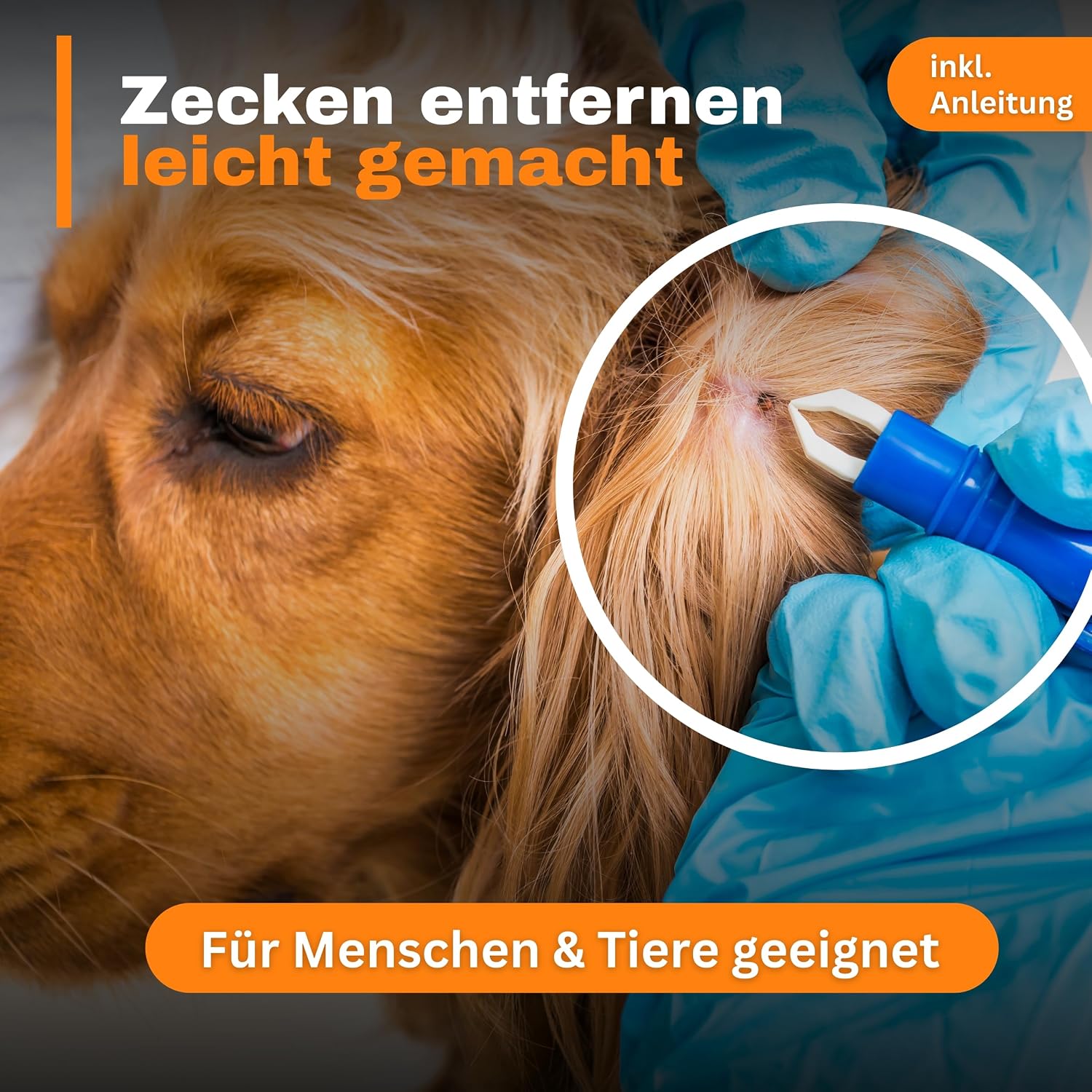 Thumbnail 2 de Alpenstern® Zecken Entferner Kit: Zeckenpinzette, -hebel & Erste-Hilfe-Tasche für Mensch und Tier